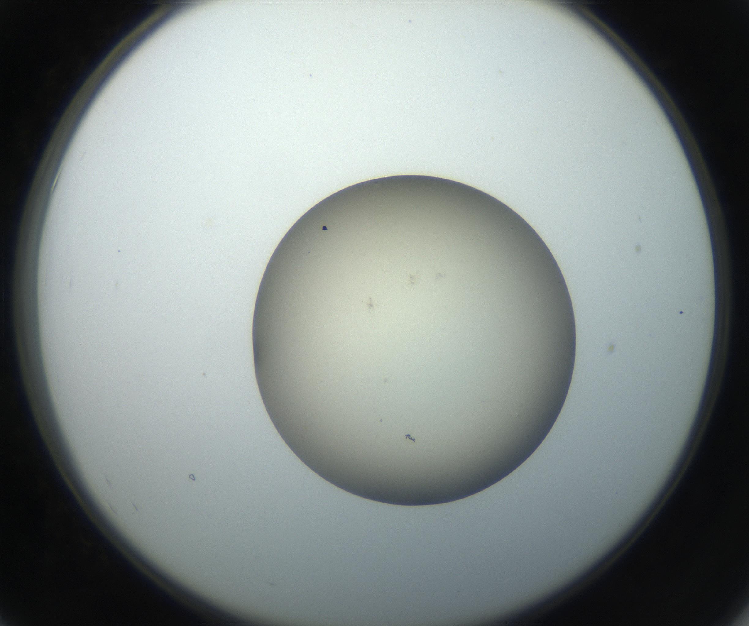 RI01_03_000_0212_Proj1_Clon1_MC_0000MC102735_003_160921_07_05_02_00_99_002_001_RAI.jpg