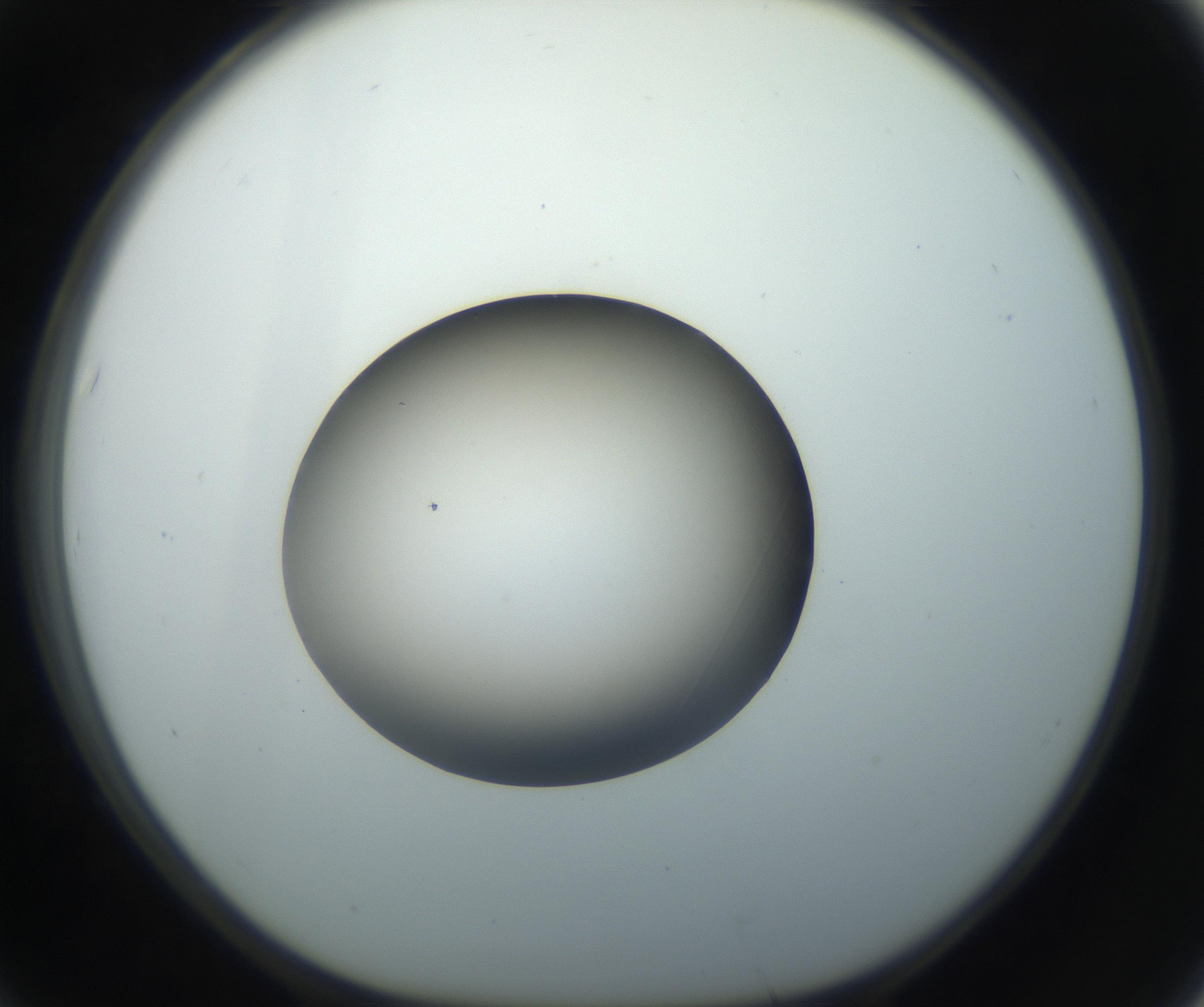 RI01_03_000_0212_Proj1_Clon1_MC_0000MC102735_003_160921_07_06_01_00_99_002_001_RAI.jpg