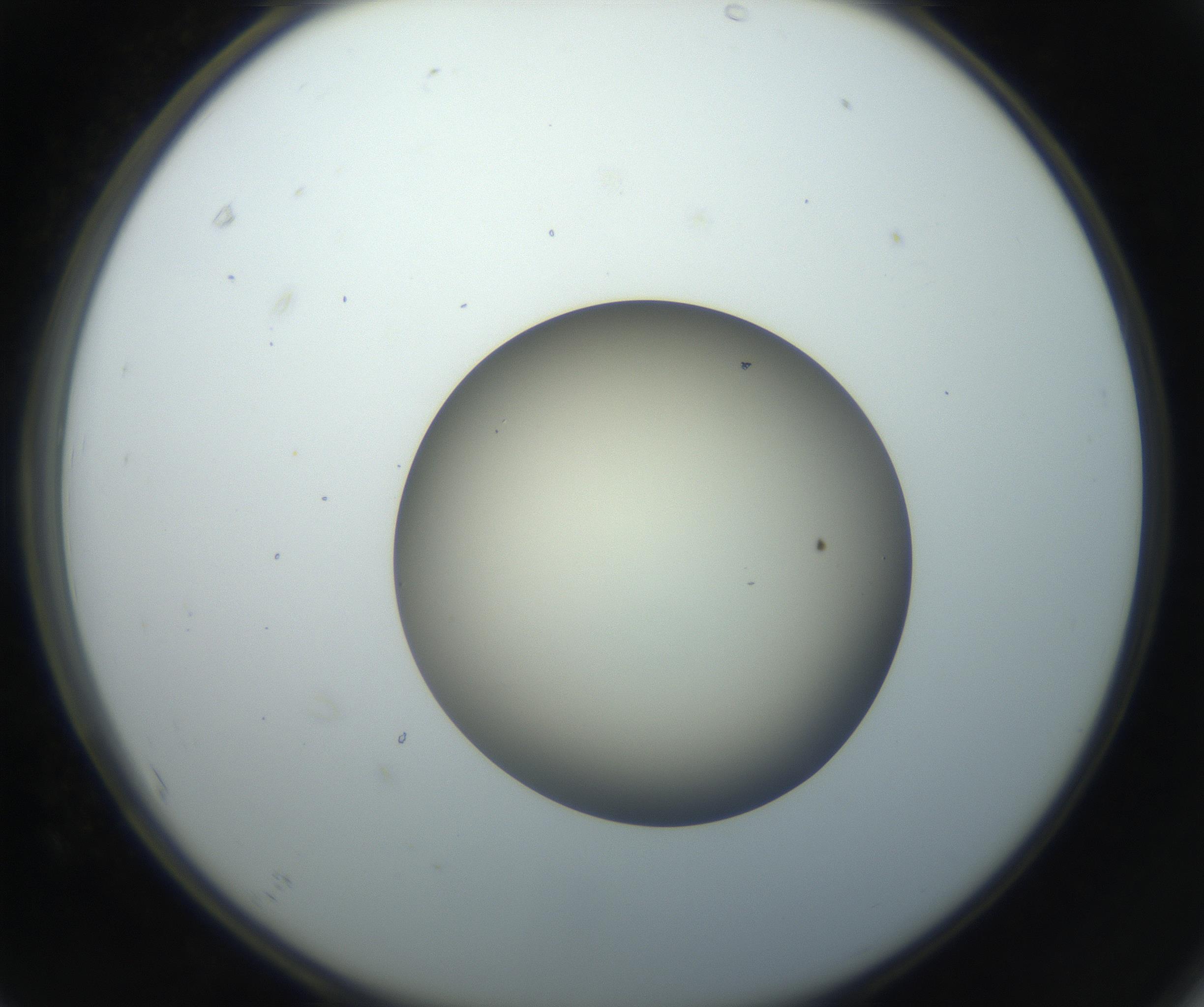 RI01_03_000_0212_Proj1_Clon1_MC_0000MC102735_003_160921_07_06_02_00_99_002_001_RAI.jpg