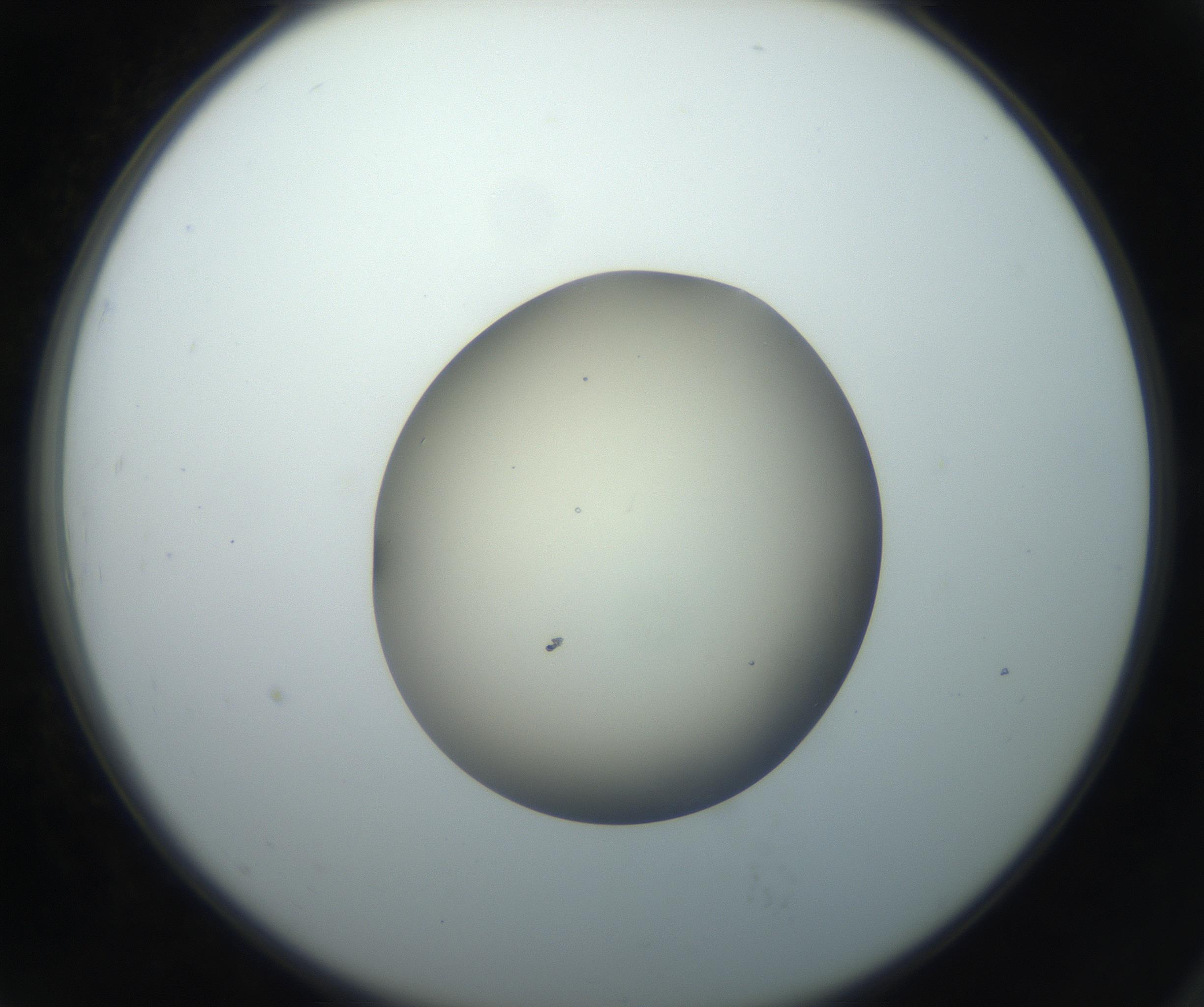 RI01_03_000_0212_Proj1_Clon1_MC_0000MC102735_003_160921_07_07_02_00_99_002_001_RAI.jpg