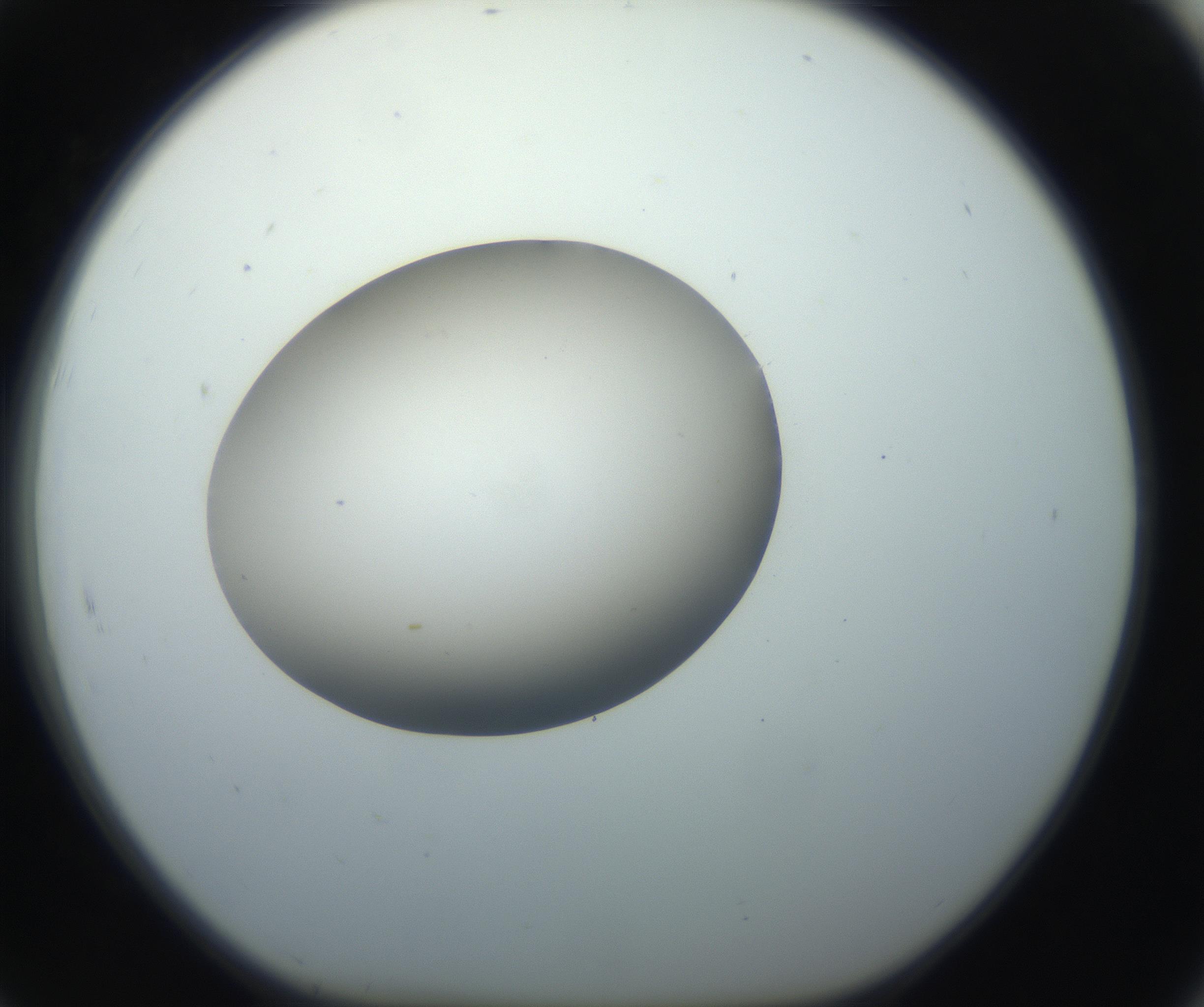 RI01_03_000_0212_Proj1_Clon1_MC_0000MC102735_003_160921_07_08_01_00_99_002_001_RAI.jpg