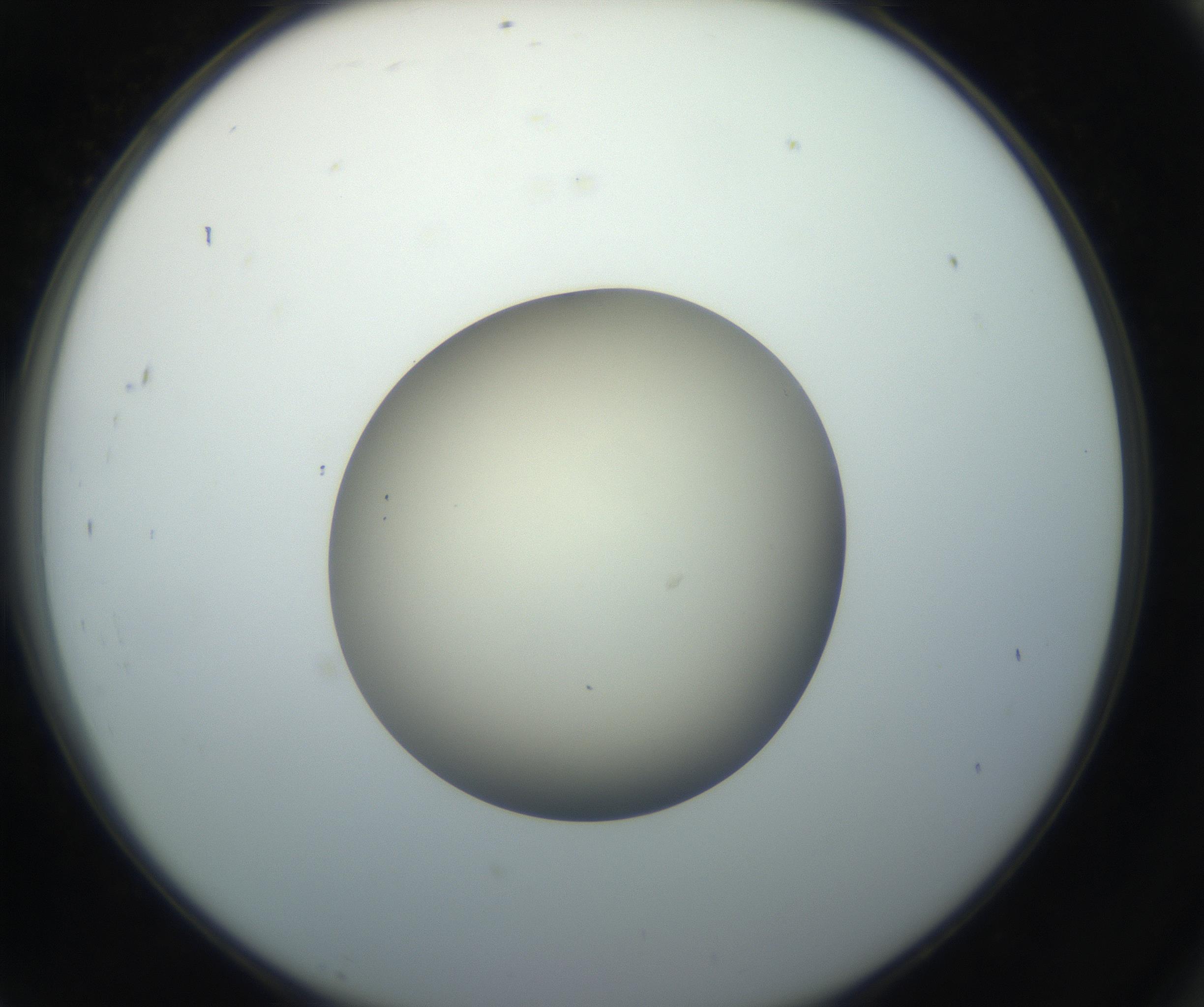 RI01_03_000_0212_Proj1_Clon1_MC_0000MC102735_003_160921_07_08_02_00_99_002_001_RAI.jpg