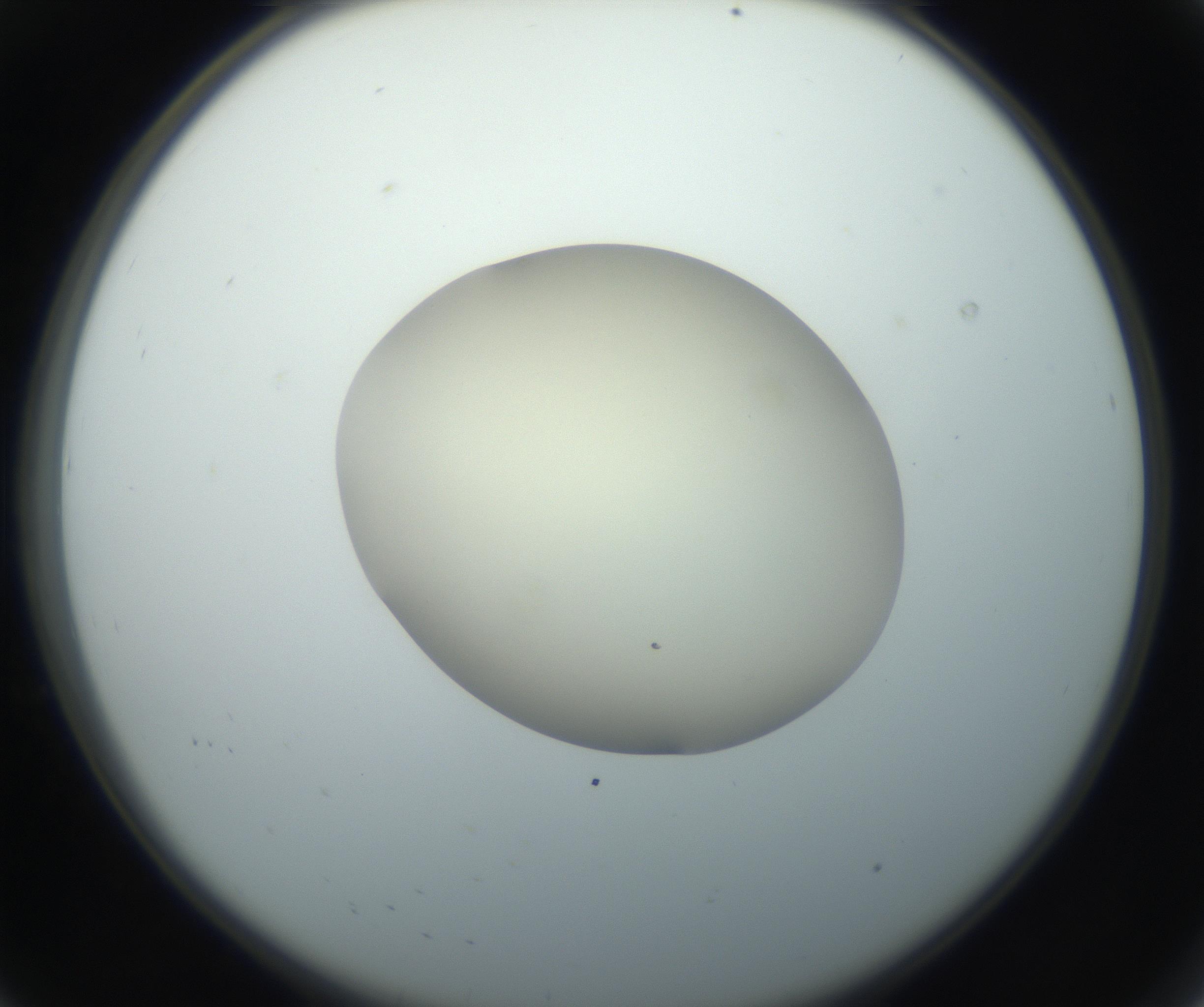 RI01_03_000_0212_Proj1_Clon1_MC_0000MC102735_003_160921_08_01_02_00_99_002_001_RAI.jpg