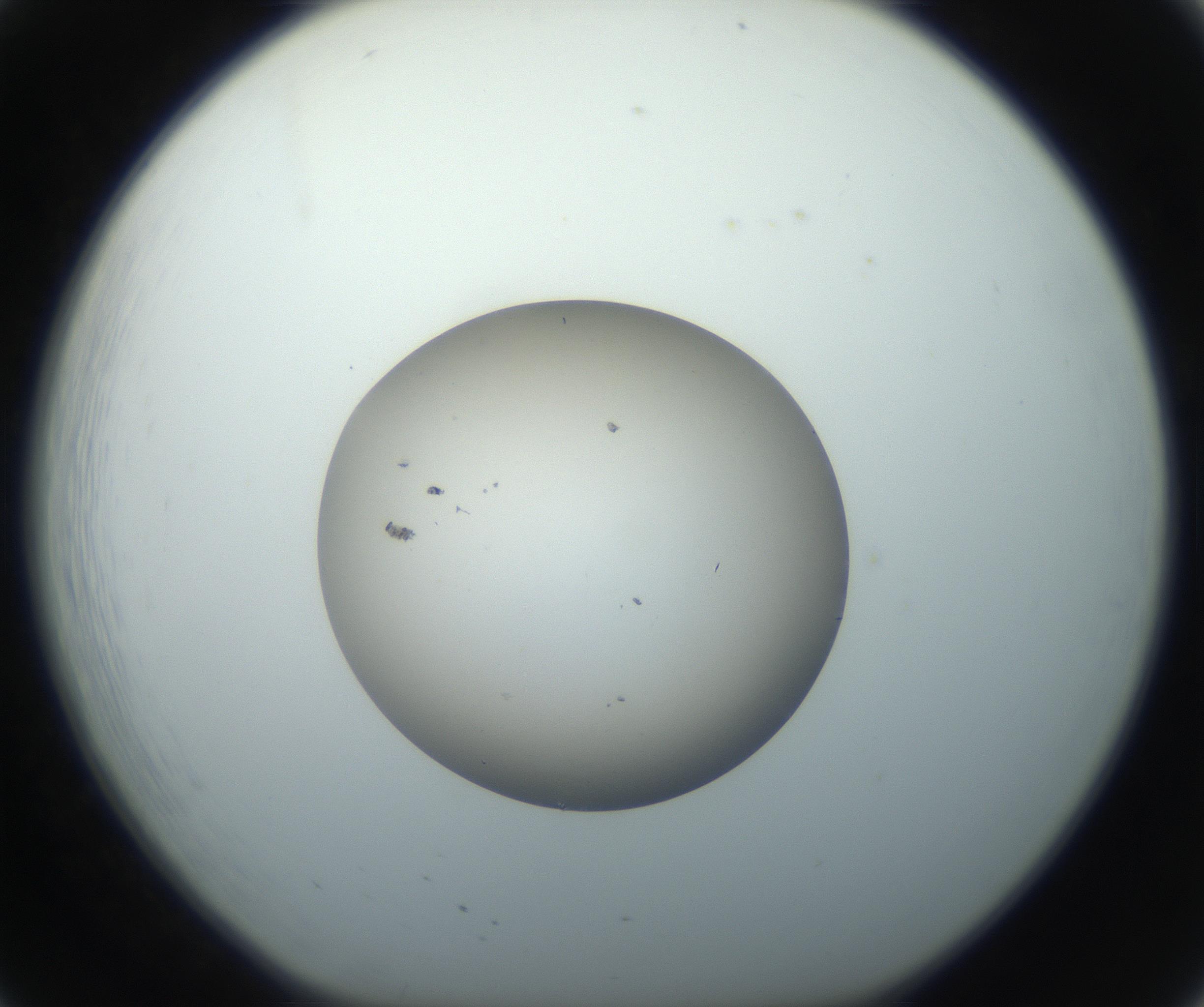 RI01_03_000_0212_Proj1_Clon1_MC_0000MC102735_003_160921_08_02_01_00_99_002_001_RAI.jpg