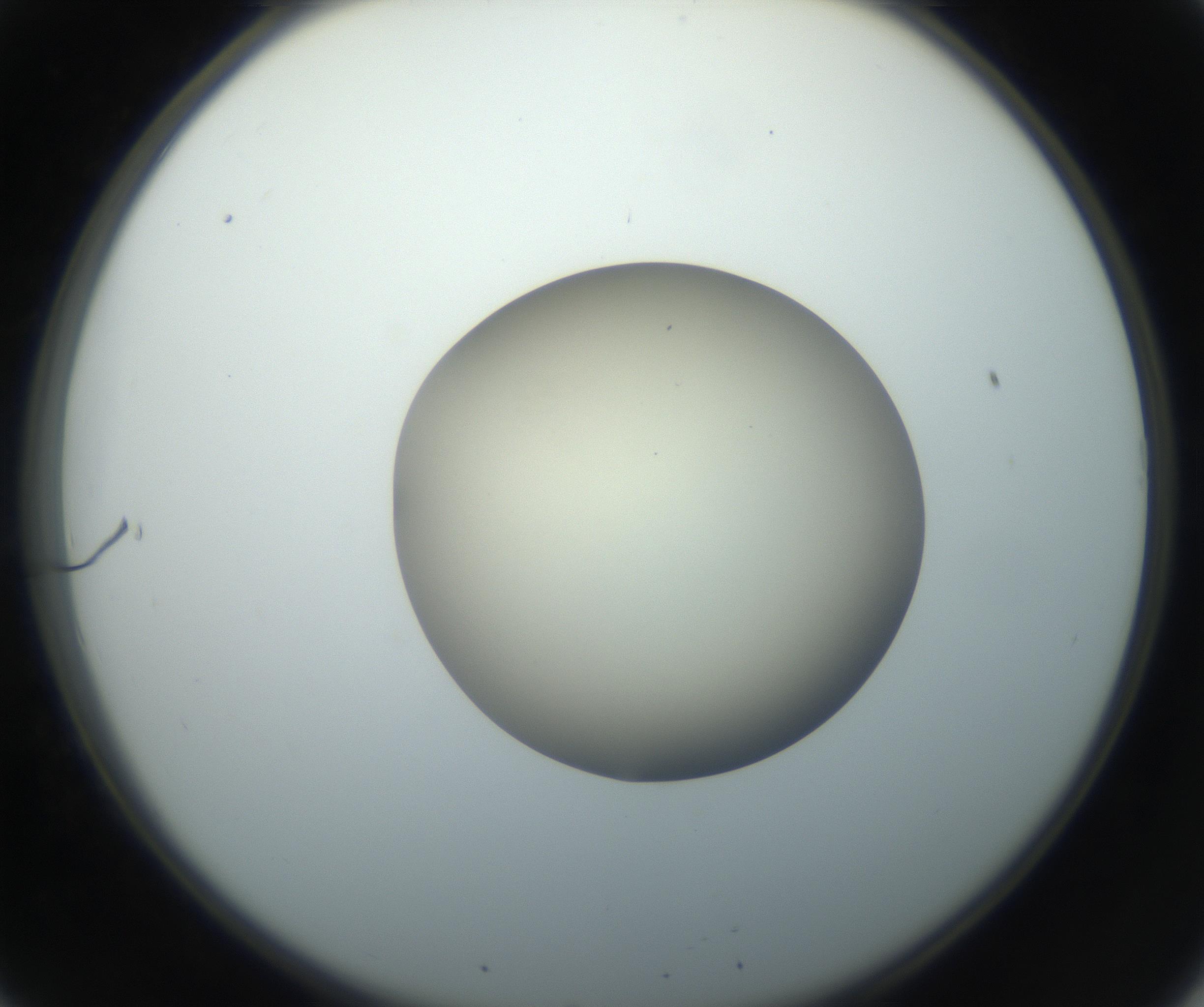 RI01_03_000_0212_Proj1_Clon1_MC_0000MC102735_003_160921_08_02_02_00_99_002_001_RAI.jpg