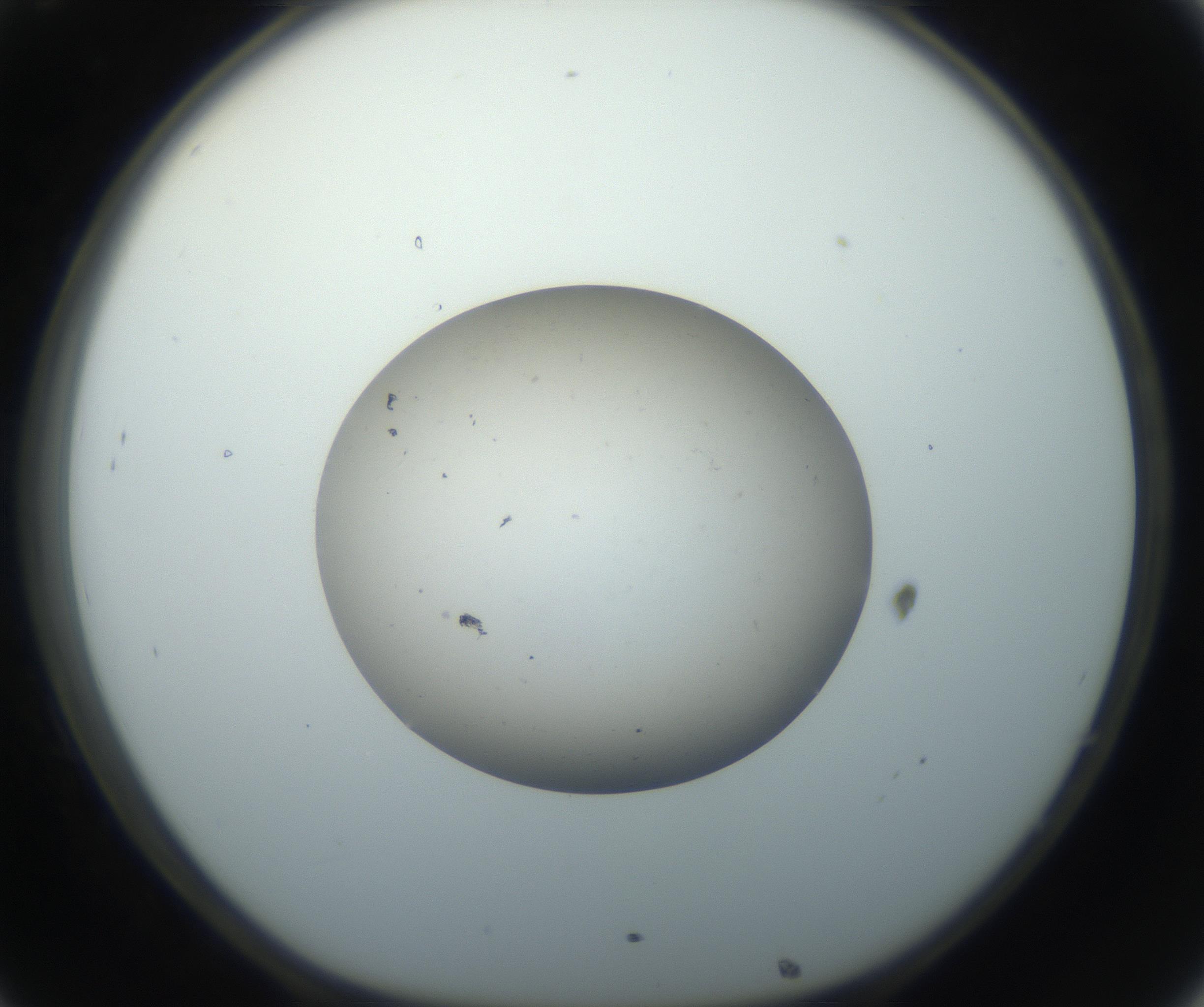 RI01_03_000_0212_Proj1_Clon1_MC_0000MC102735_003_160921_08_03_01_00_99_002_001_RAI.jpg