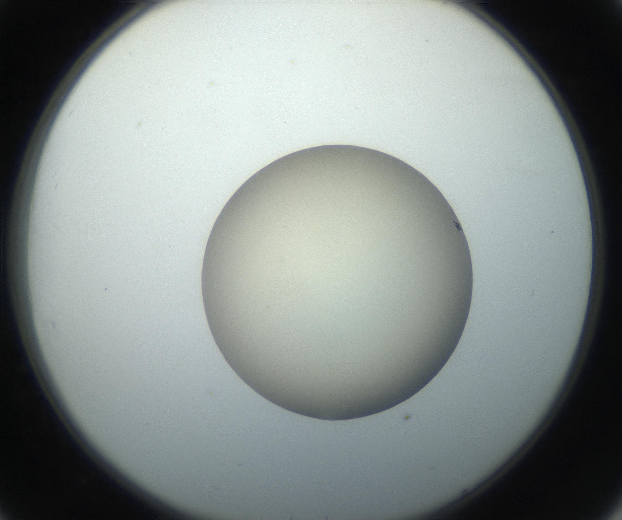 RI01_03_000_0212_Proj1_Clon1_MC_0000MC102735_003_160921_08_03_02_00_99_002_001_RAI.jpg