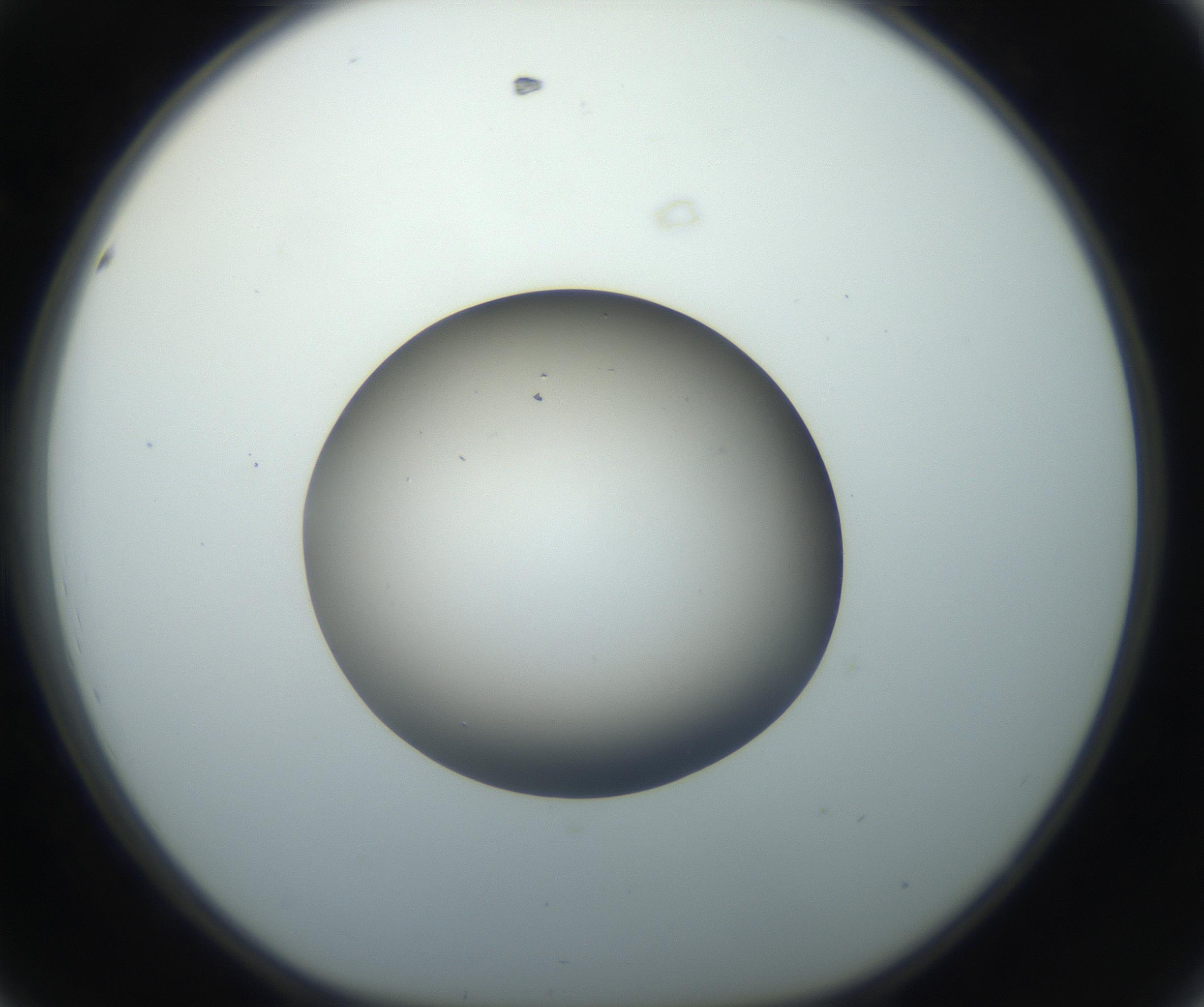 RI01_03_000_0212_Proj1_Clon1_MC_0000MC102735_003_160921_08_04_01_00_99_002_001_RAI.jpg