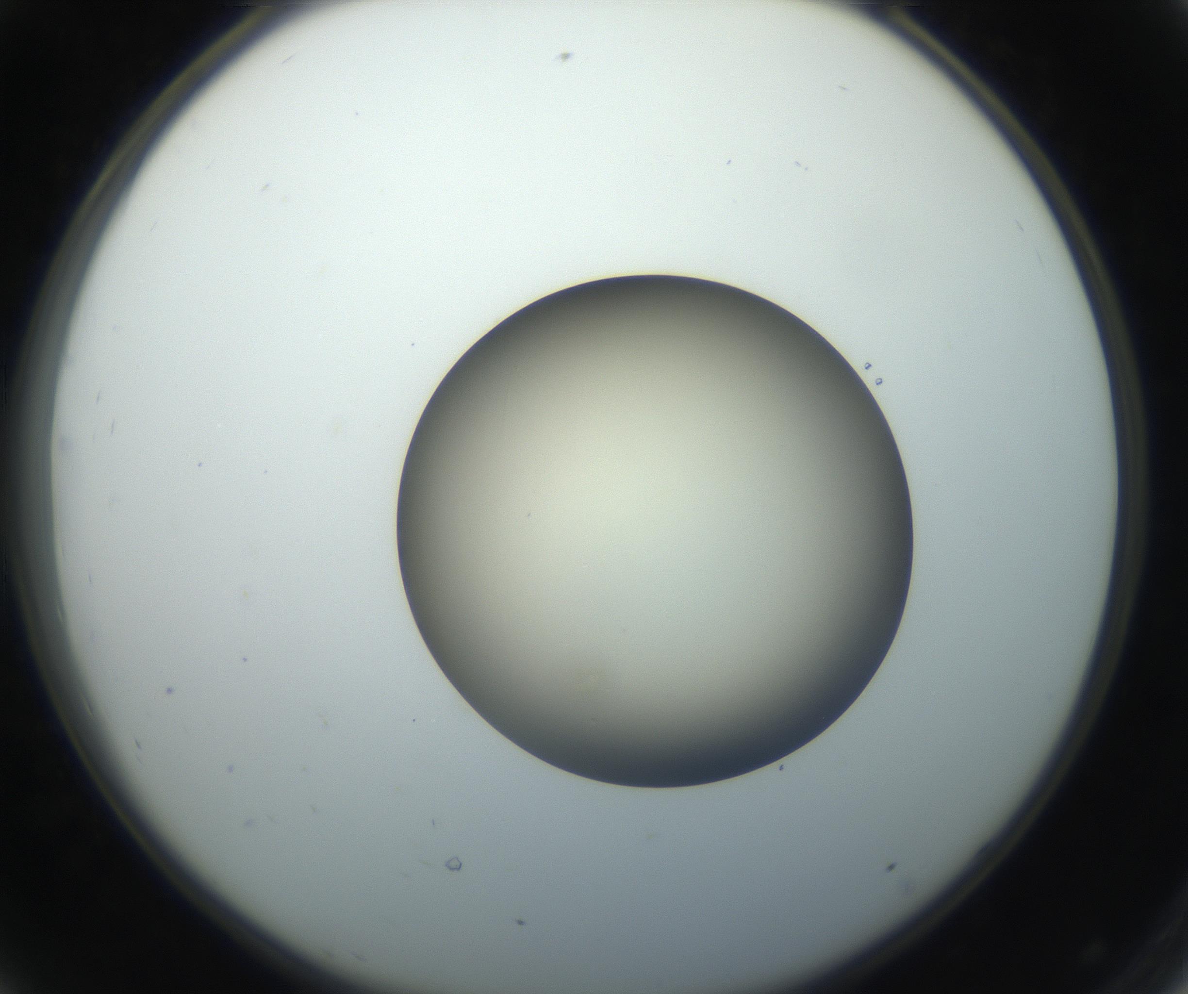 RI01_03_000_0212_Proj1_Clon1_MC_0000MC102735_003_160921_08_04_02_00_99_002_001_RAI.jpg