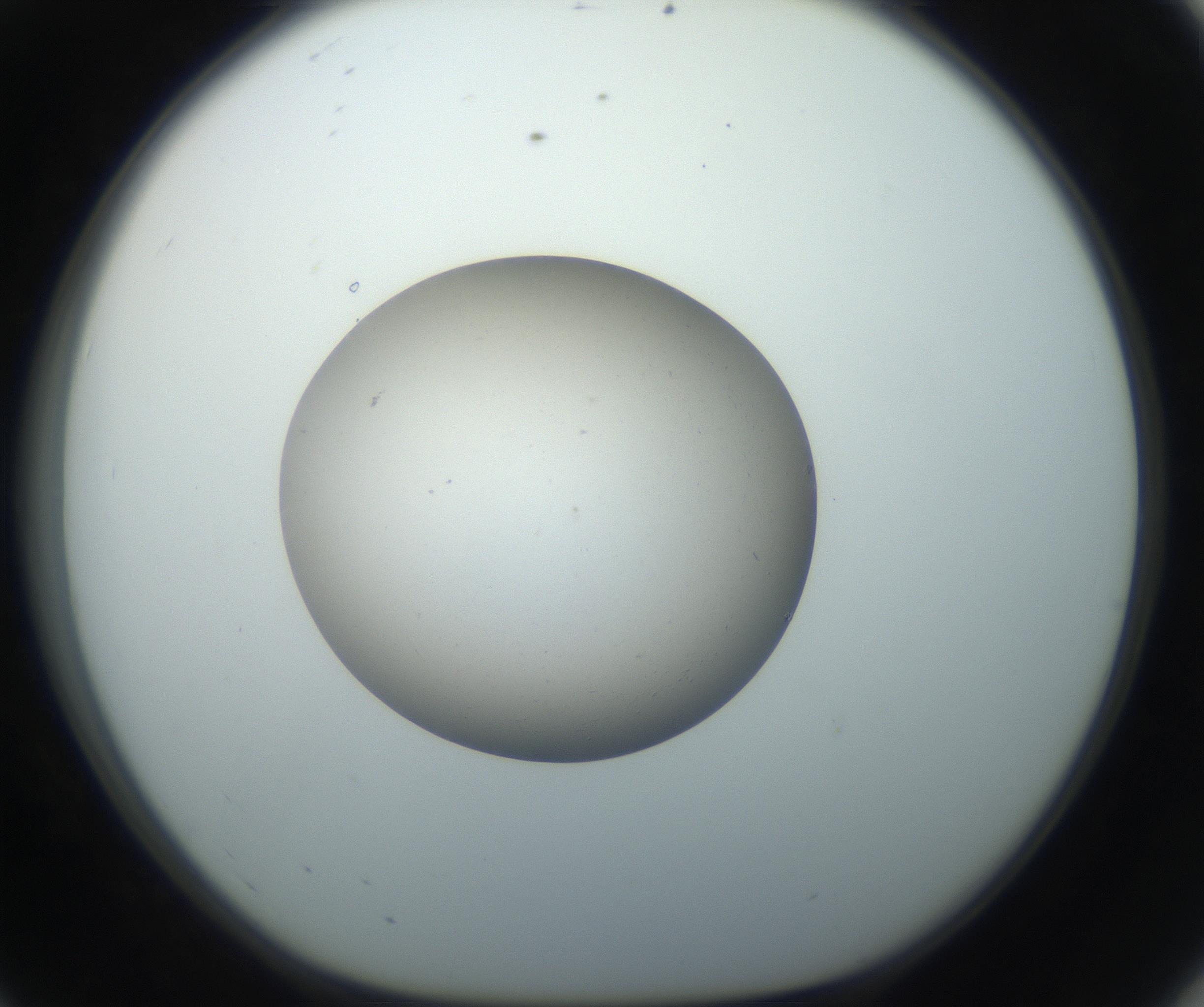RI01_03_000_0212_Proj1_Clon1_MC_0000MC102735_003_160921_08_05_01_00_99_002_001_RAI.jpg