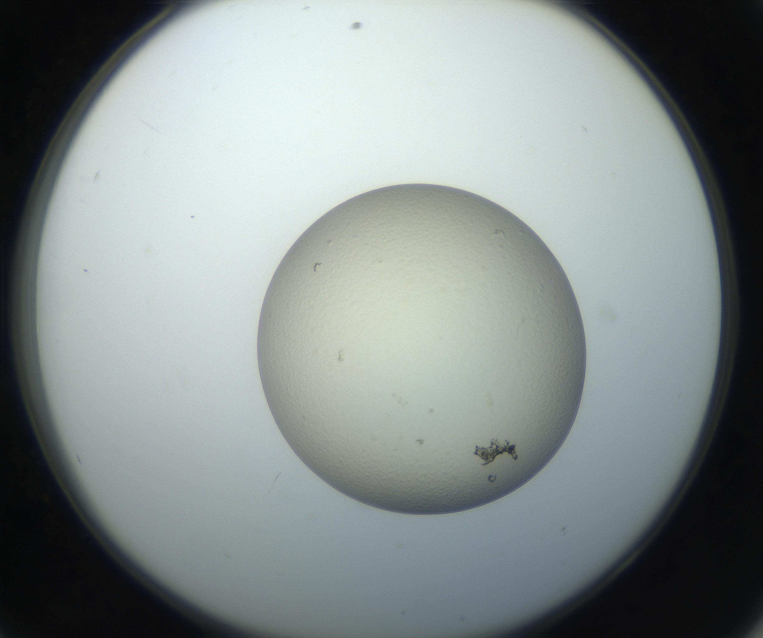 RI01_03_000_0212_Proj1_Clon1_MC_0000MC102735_003_160921_08_05_02_00_99_002_001_RAI.jpg