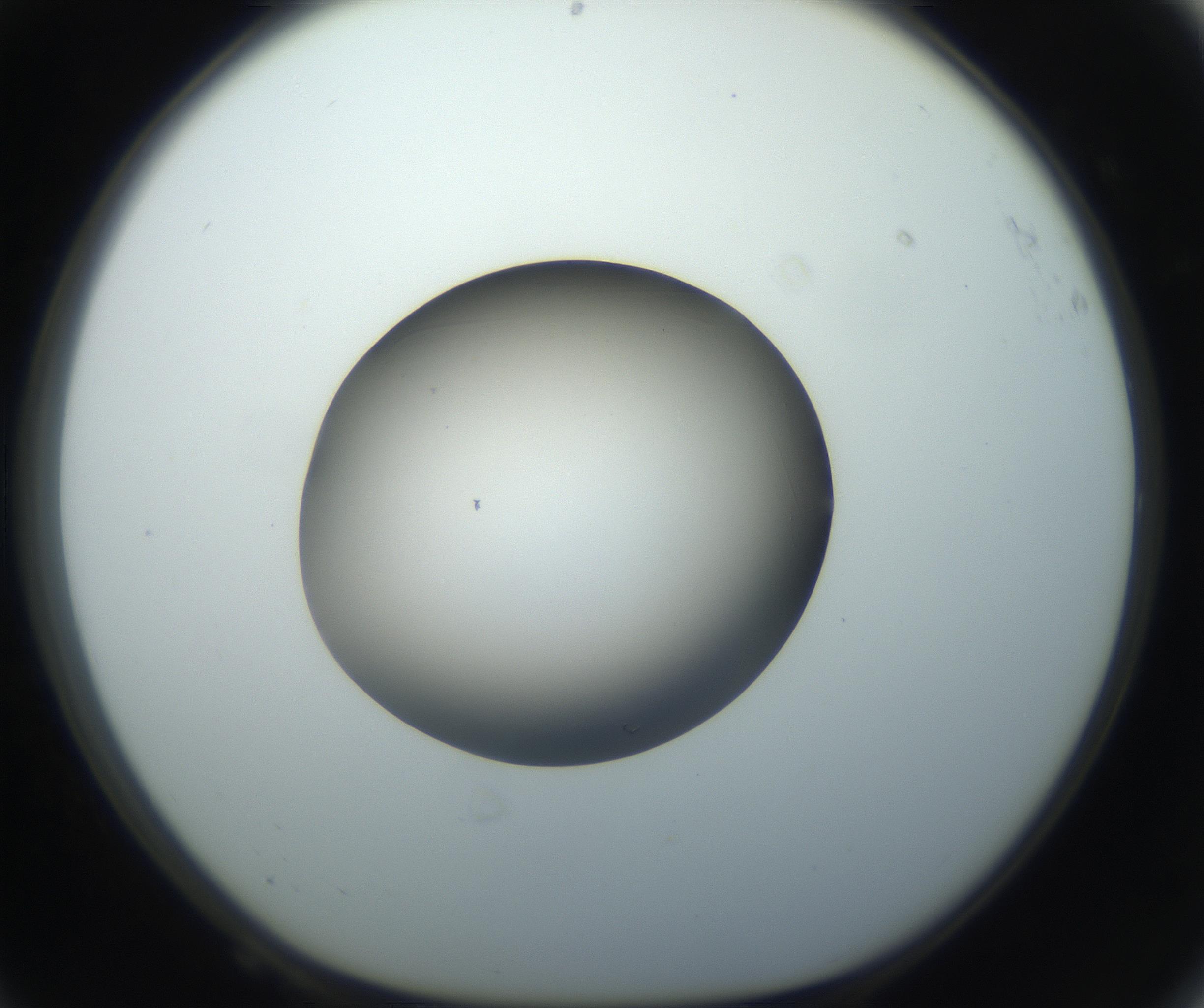RI01_03_000_0212_Proj1_Clon1_MC_0000MC102735_003_160921_08_06_01_00_99_002_001_RAI.jpg