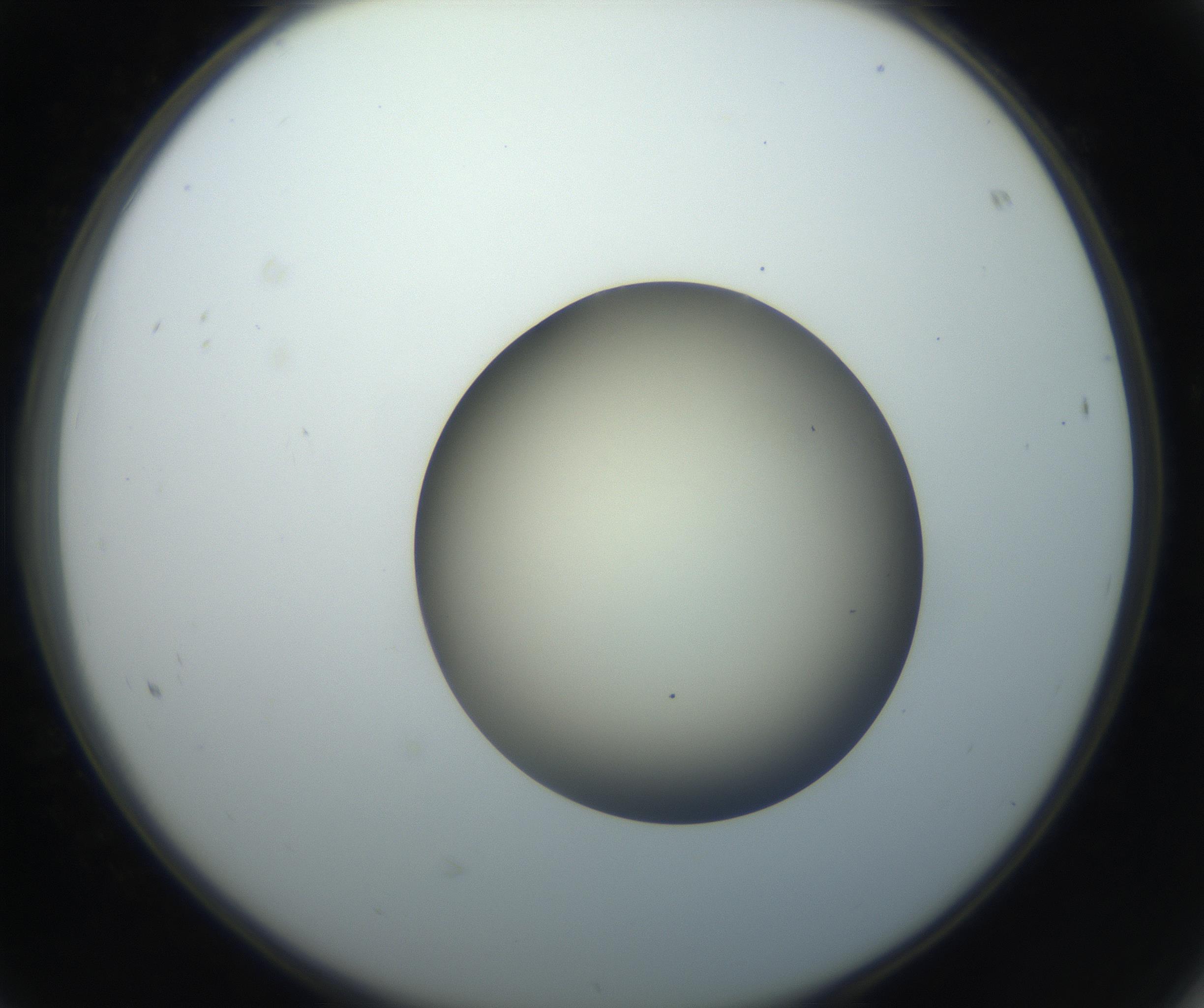 RI01_03_000_0212_Proj1_Clon1_MC_0000MC102735_003_160921_08_06_02_00_99_002_001_RAI.jpg