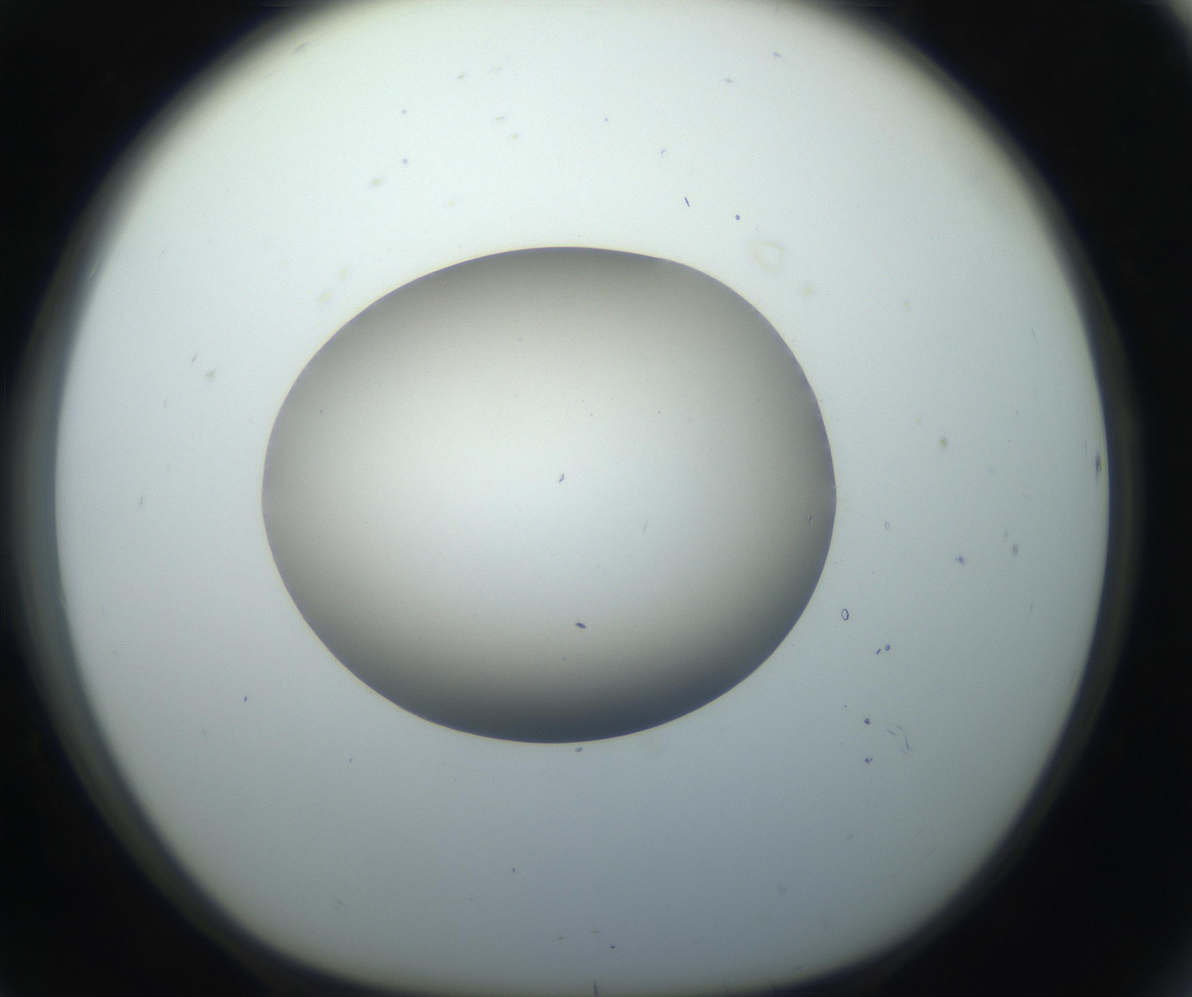 RI01_03_000_0212_Proj1_Clon1_MC_0000MC102735_003_160921_08_07_01_00_99_002_001_RAI.jpg
