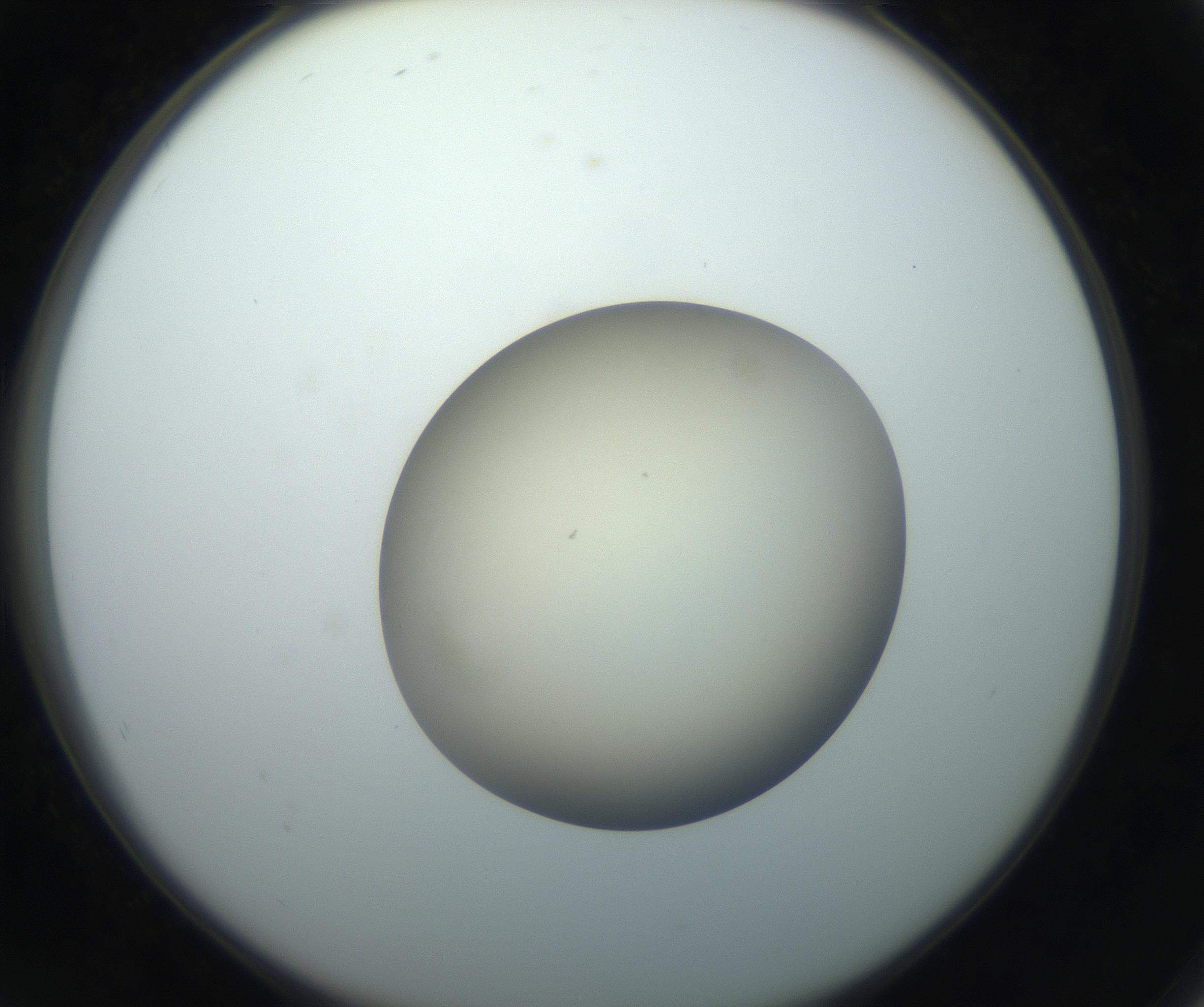 RI01_03_000_0212_Proj1_Clon1_MC_0000MC102735_003_160921_08_07_02_00_99_002_001_RAI.jpg