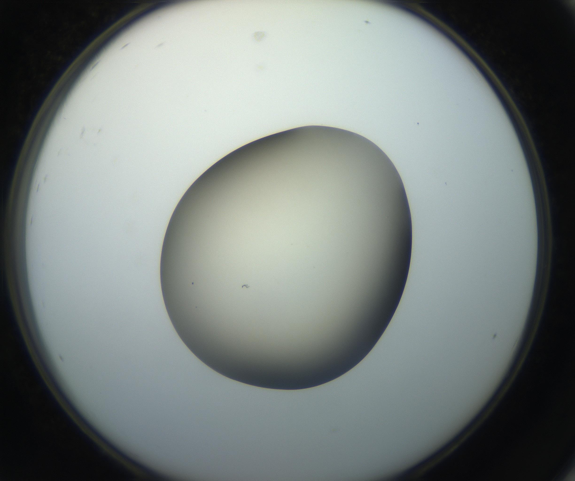 RI01_03_000_0212_Proj1_Clon1_MC_0000MC102735_003_160921_08_08_02_00_99_002_001_RAI.jpg