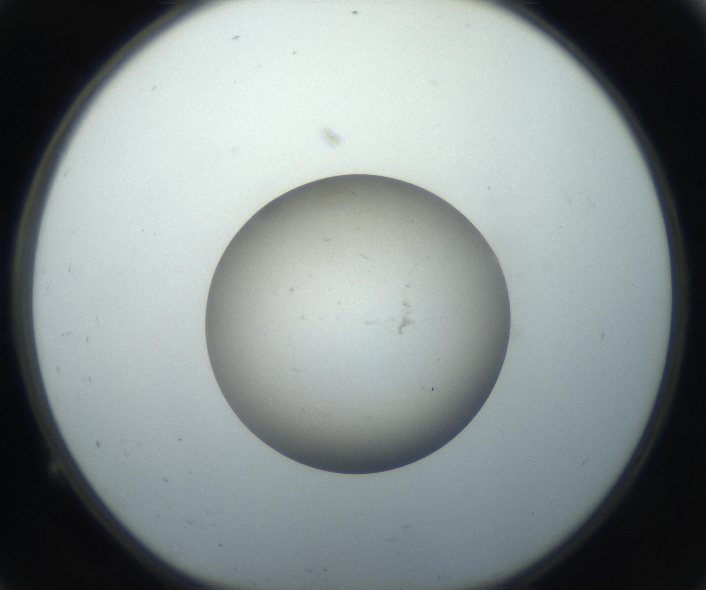 RI01_03_000_0212_Proj1_Clon1_MC_0000MC102735_003_160921_09_01_01_00_99_002_001_RAI.jpg
