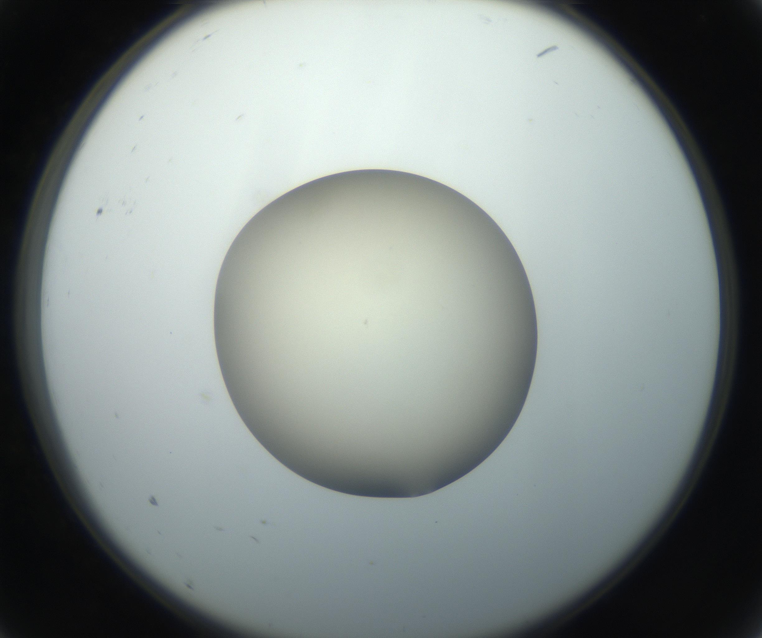 RI01_03_000_0212_Proj1_Clon1_MC_0000MC102735_003_160921_09_01_02_00_99_002_001_RAI.jpg