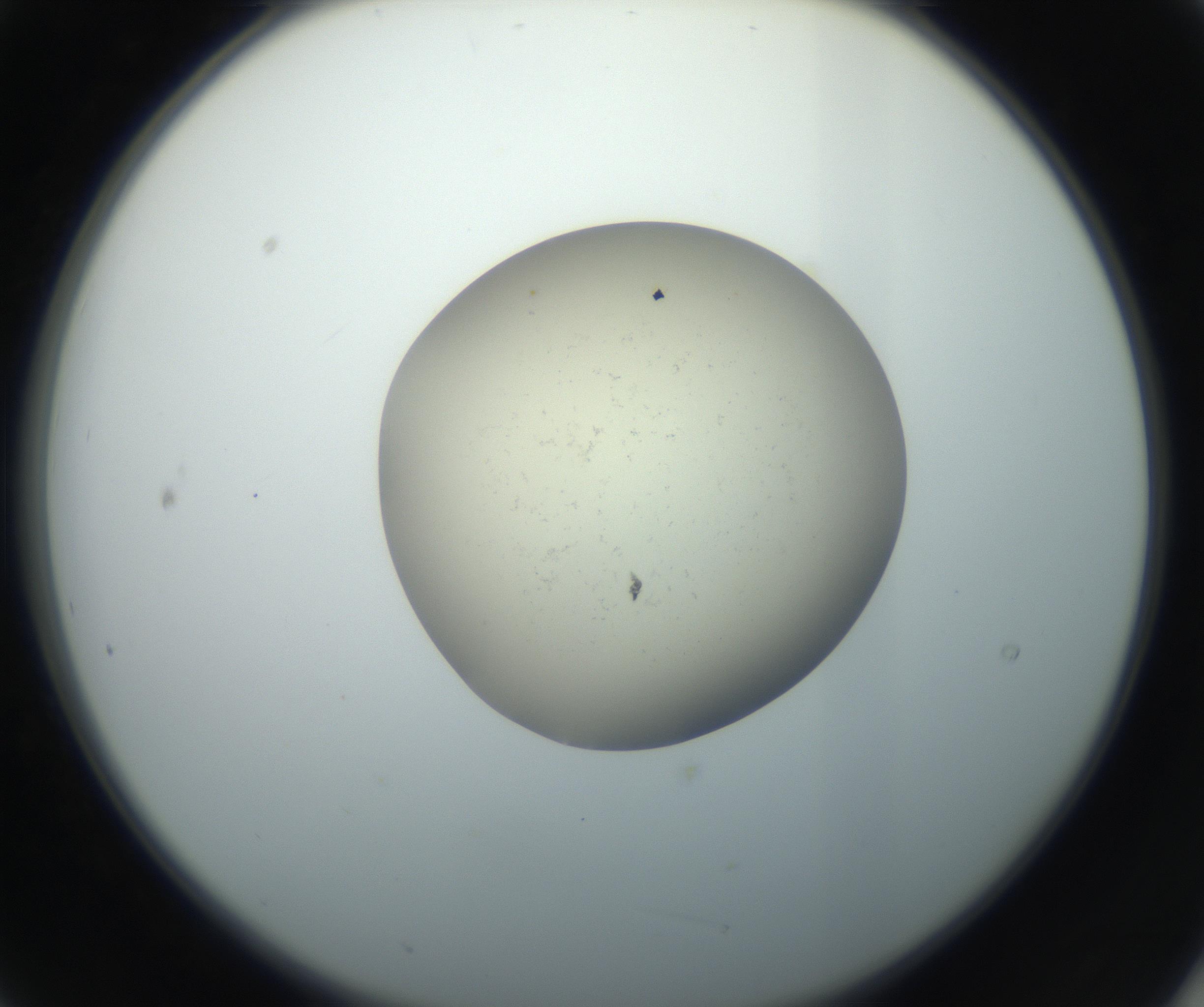 RI01_03_000_0212_Proj1_Clon1_MC_0000MC102735_003_160921_09_02_02_00_99_002_001_RAI.jpg