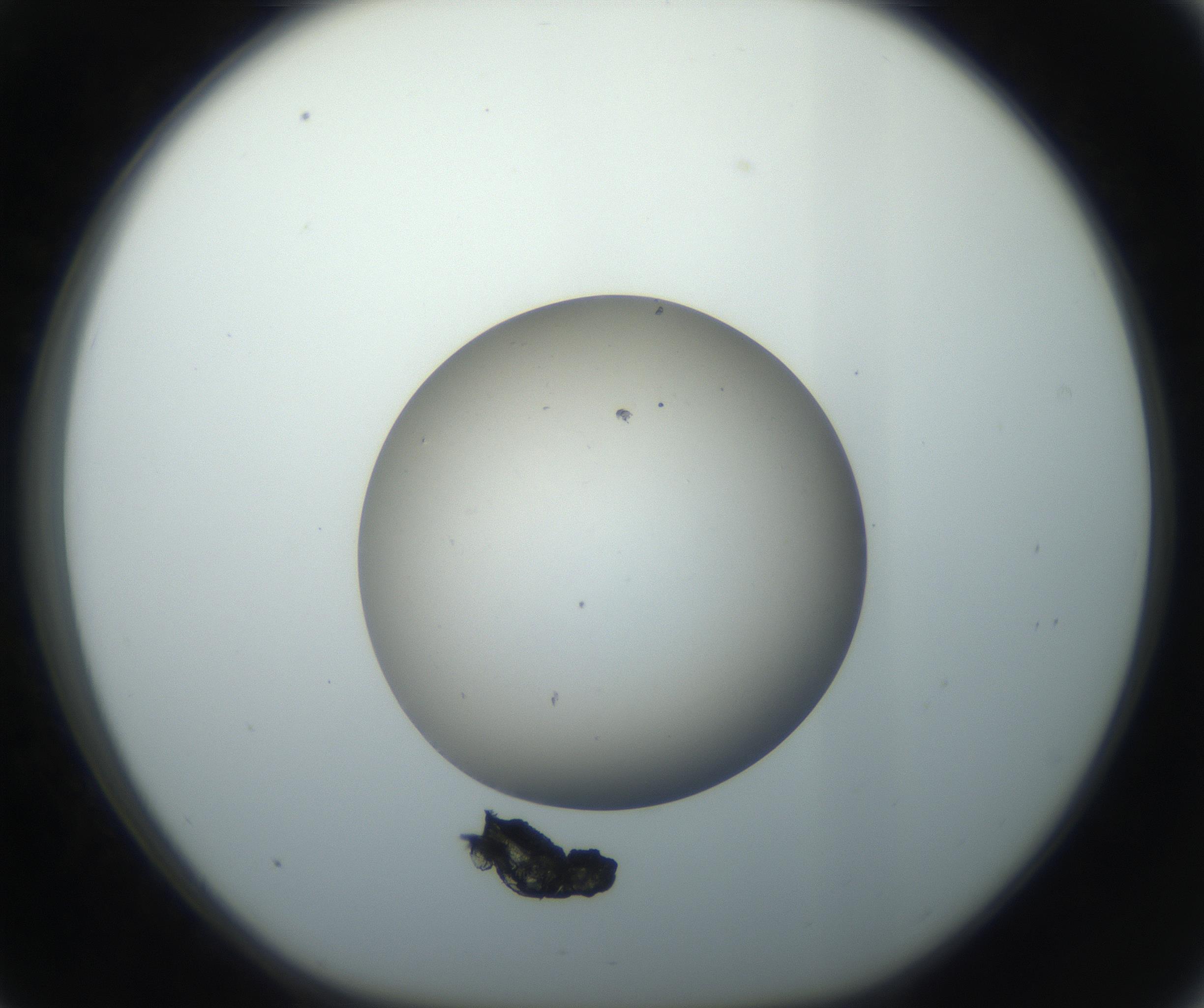 RI01_03_000_0212_Proj1_Clon1_MC_0000MC102735_003_160921_09_03_01_00_99_002_001_RAI.jpg