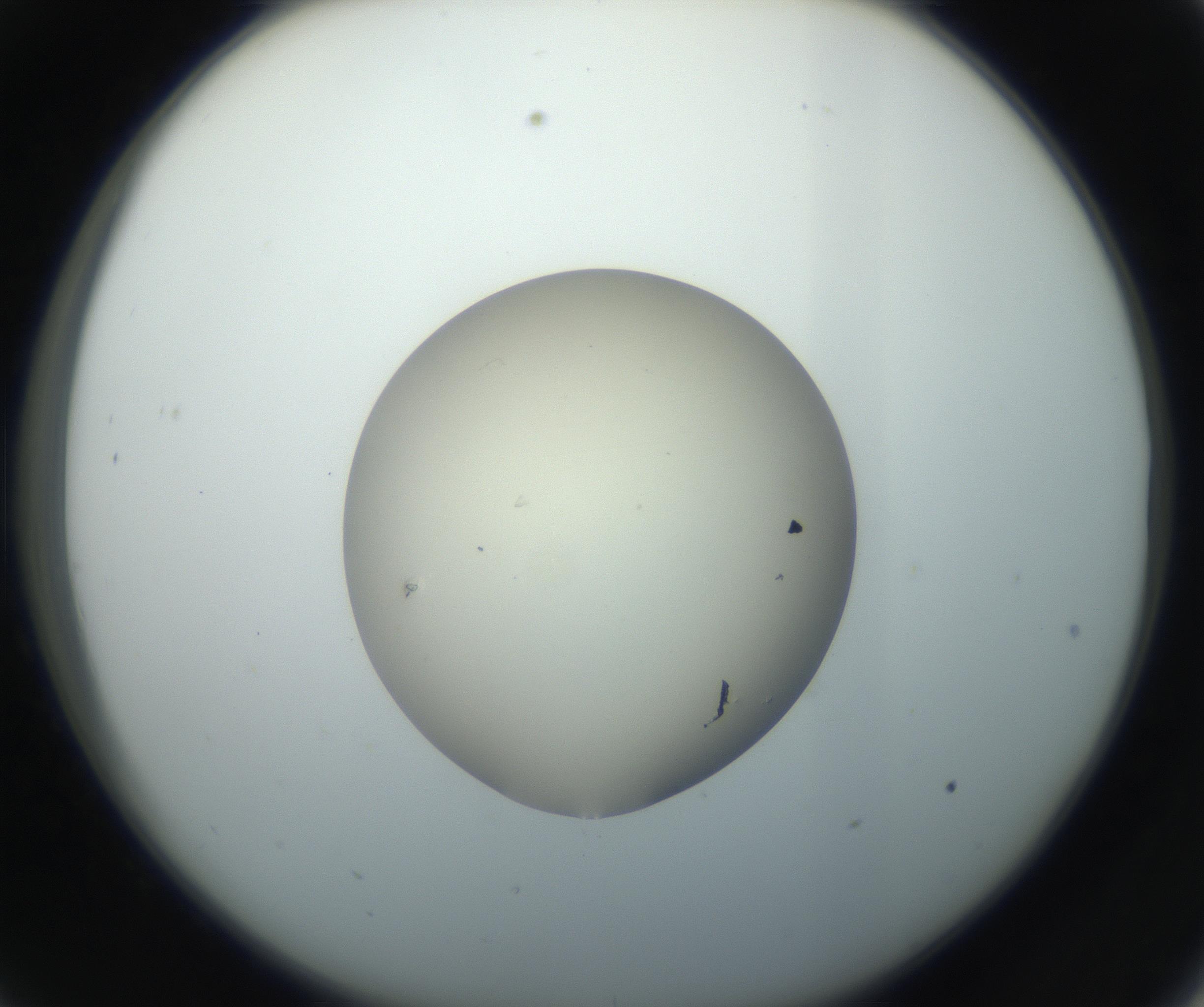 RI01_03_000_0212_Proj1_Clon1_MC_0000MC102735_003_160921_09_03_02_00_99_002_001_RAI.jpg