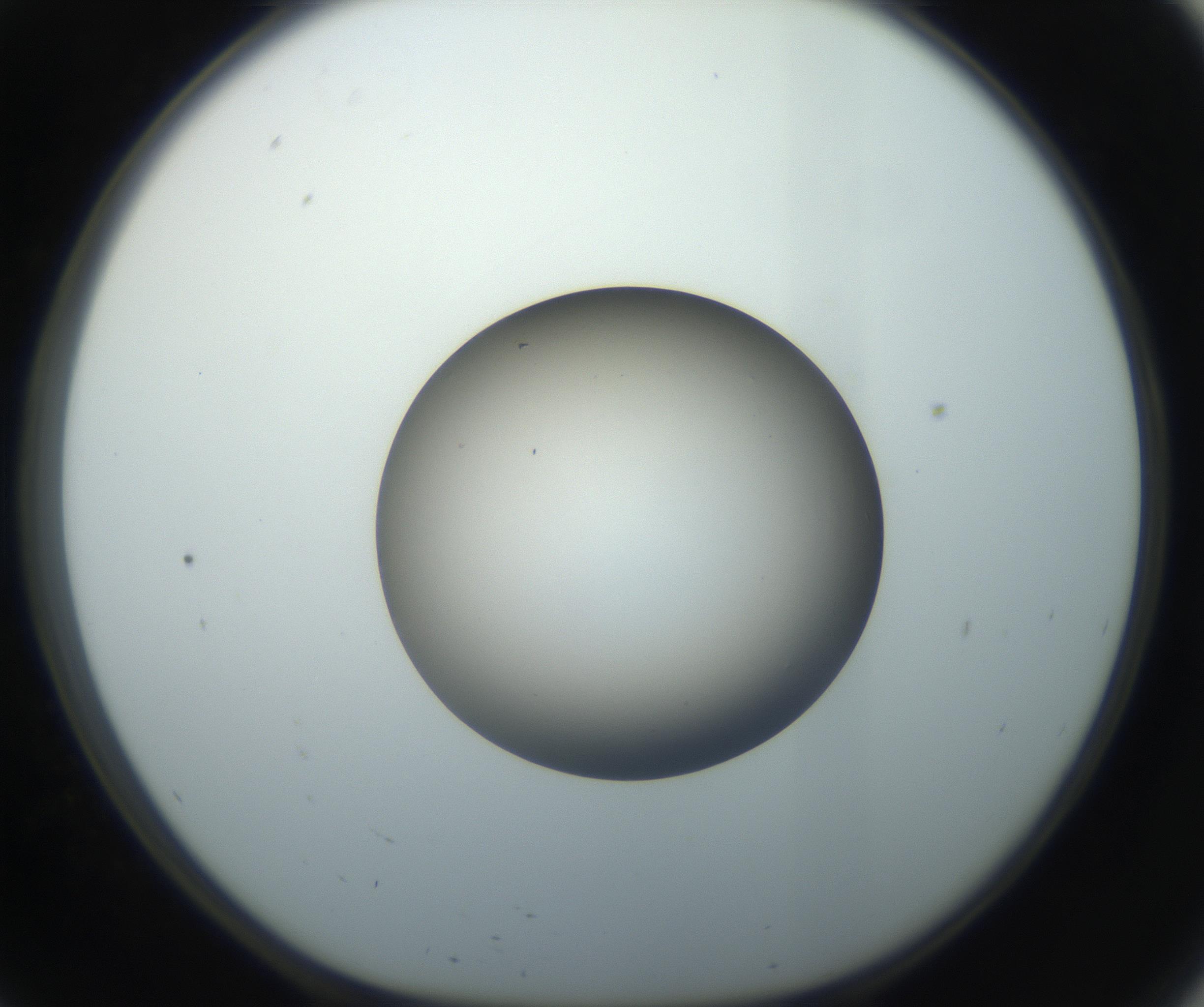 RI01_03_000_0212_Proj1_Clon1_MC_0000MC102735_003_160921_09_05_01_00_99_002_001_RAI.jpg