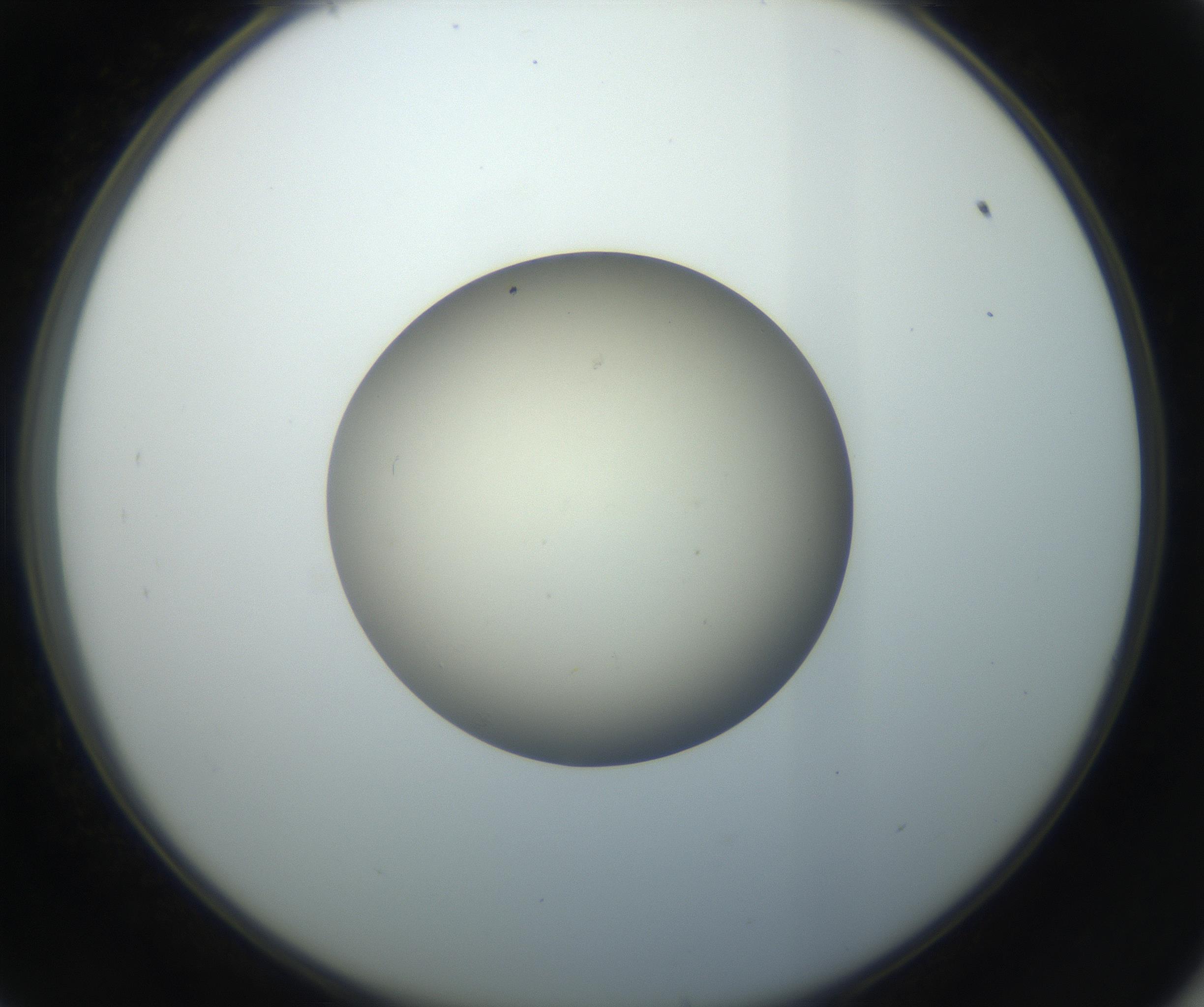 RI01_03_000_0212_Proj1_Clon1_MC_0000MC102735_003_160921_09_05_02_00_99_002_001_RAI.jpg