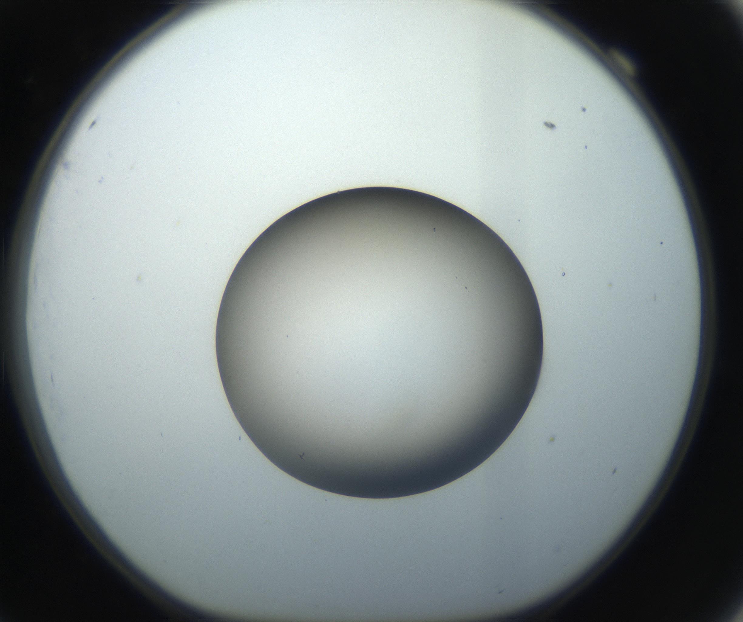 RI01_03_000_0212_Proj1_Clon1_MC_0000MC102735_003_160921_09_06_01_00_99_002_001_RAI.jpg