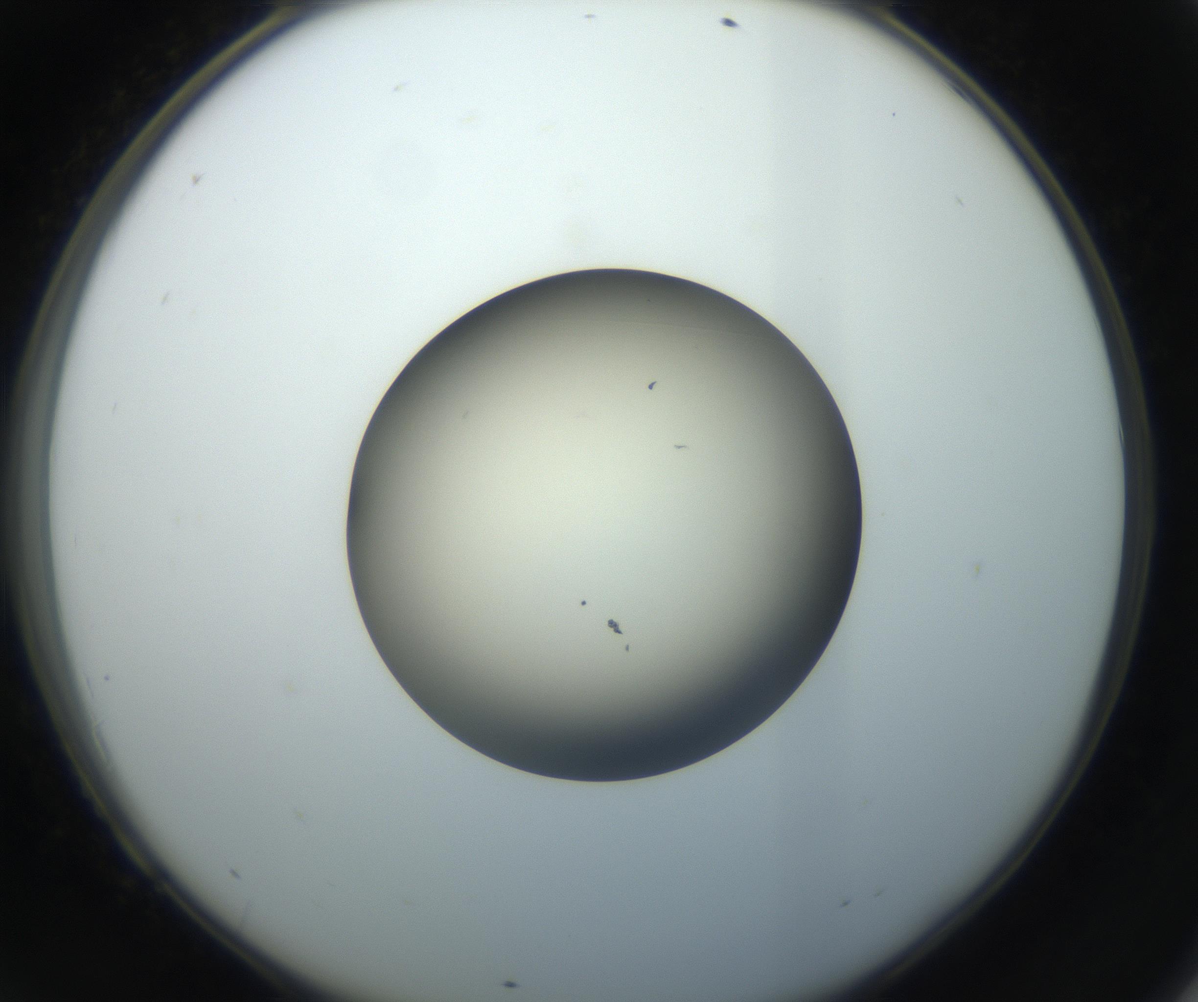 RI01_03_000_0212_Proj1_Clon1_MC_0000MC102735_003_160921_09_06_02_00_99_002_001_RAI.jpg