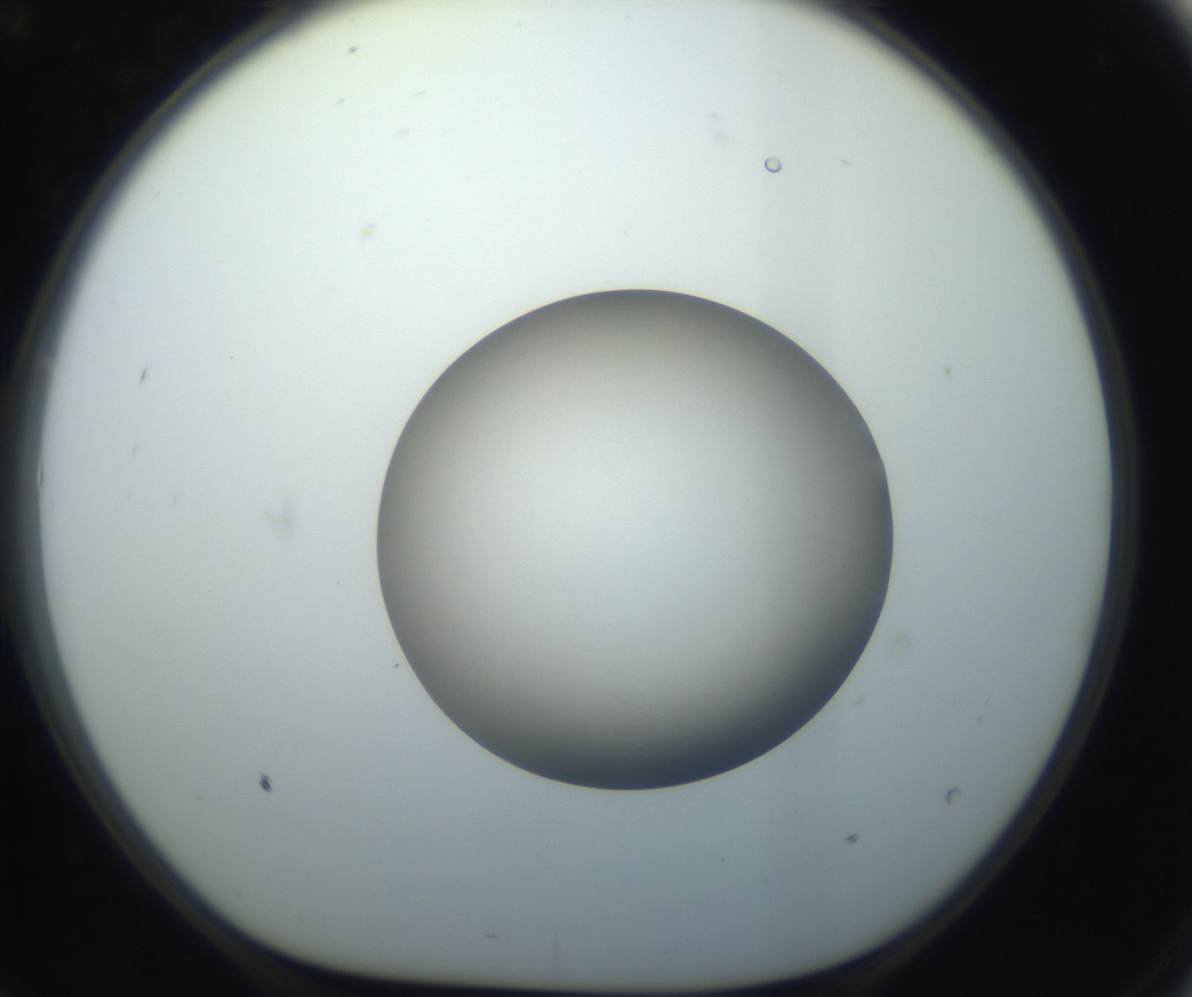 RI01_03_000_0212_Proj1_Clon1_MC_0000MC102735_003_160921_09_07_01_00_99_002_001_RAI.jpg
