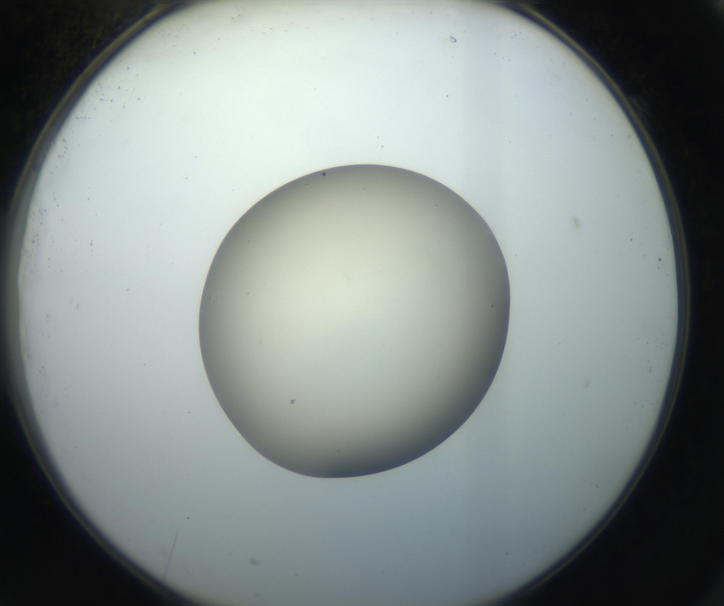 RI01_03_000_0212_Proj1_Clon1_MC_0000MC102735_003_160921_09_07_02_00_99_002_001_RAI.jpg