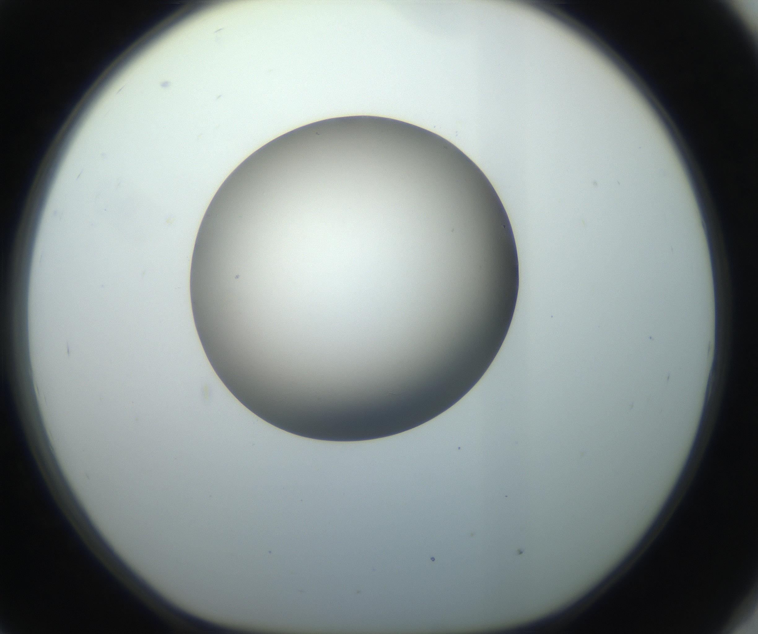 RI01_03_000_0212_Proj1_Clon1_MC_0000MC102735_003_160921_09_08_01_00_99_002_001_RAI.jpg