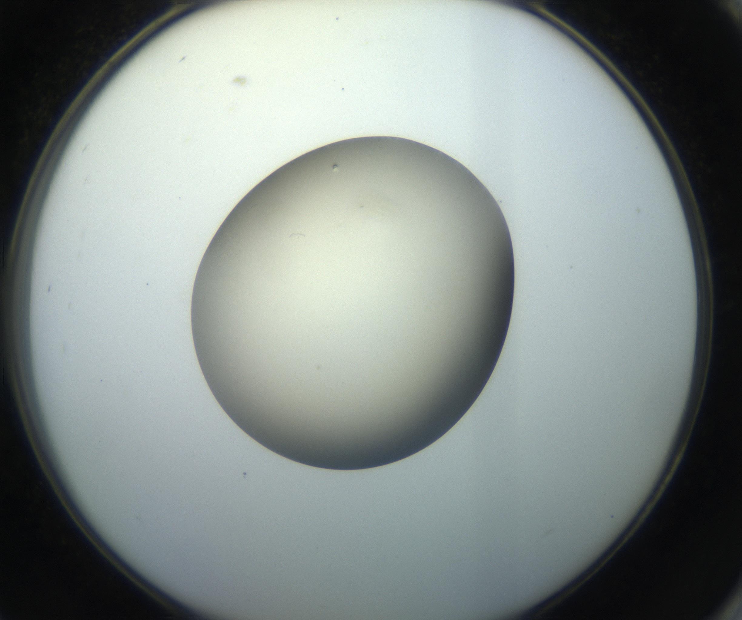 RI01_03_000_0212_Proj1_Clon1_MC_0000MC102735_003_160921_09_08_02_00_99_002_001_RAI.jpg