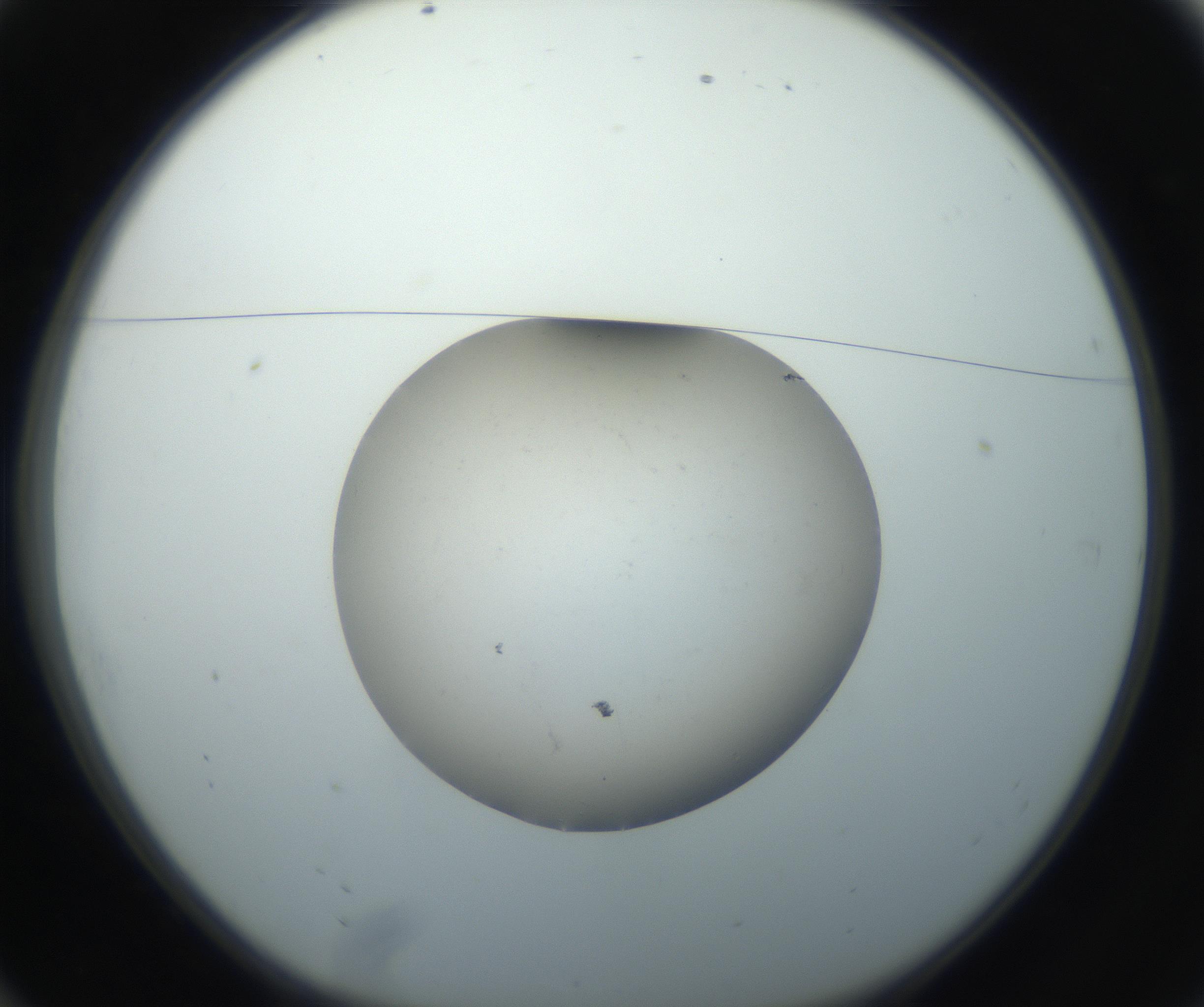 RI01_03_000_0212_Proj1_Clon1_MC_0000MC102735_003_160921_10_01_01_00_99_002_001_RAI.jpg