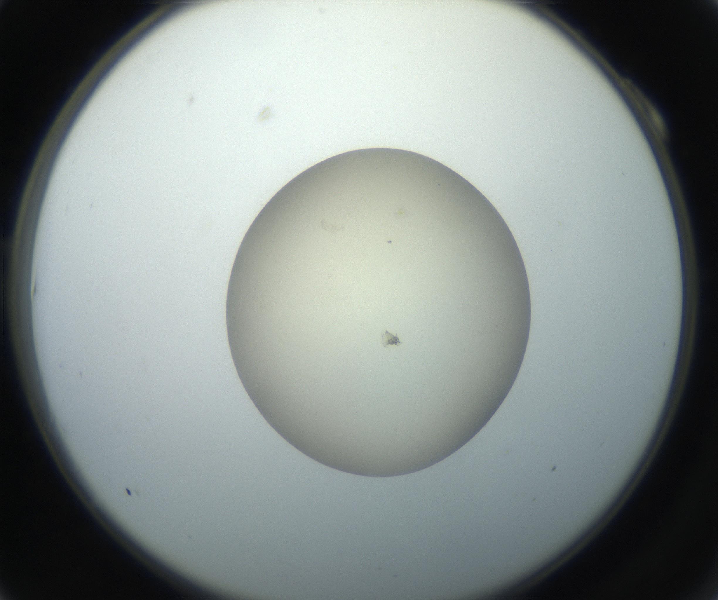 RI01_03_000_0212_Proj1_Clon1_MC_0000MC102735_003_160921_10_01_02_00_99_002_001_RAI.jpg