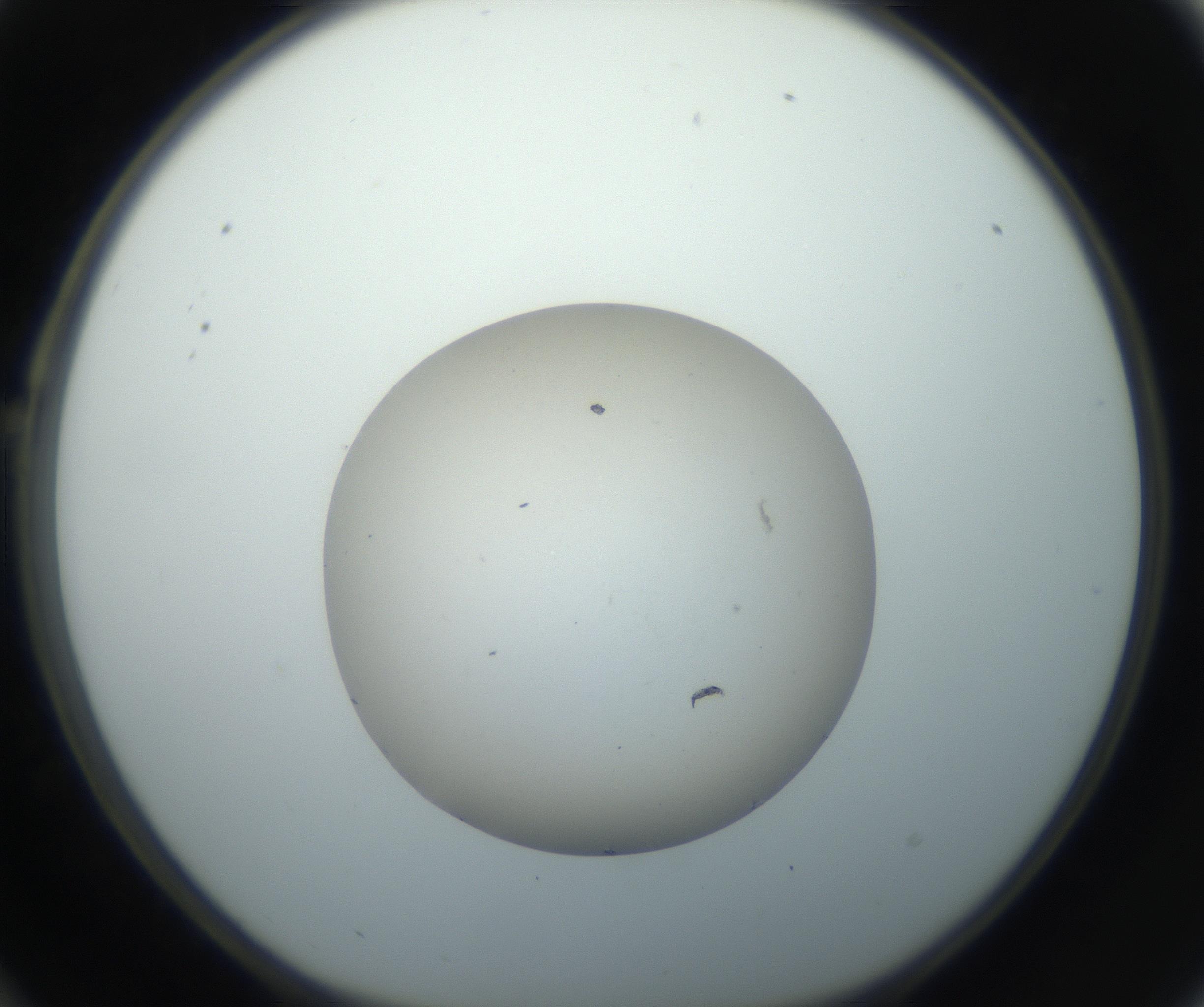 RI01_03_000_0212_Proj1_Clon1_MC_0000MC102735_003_160921_10_02_01_00_99_002_001_RAI.jpg