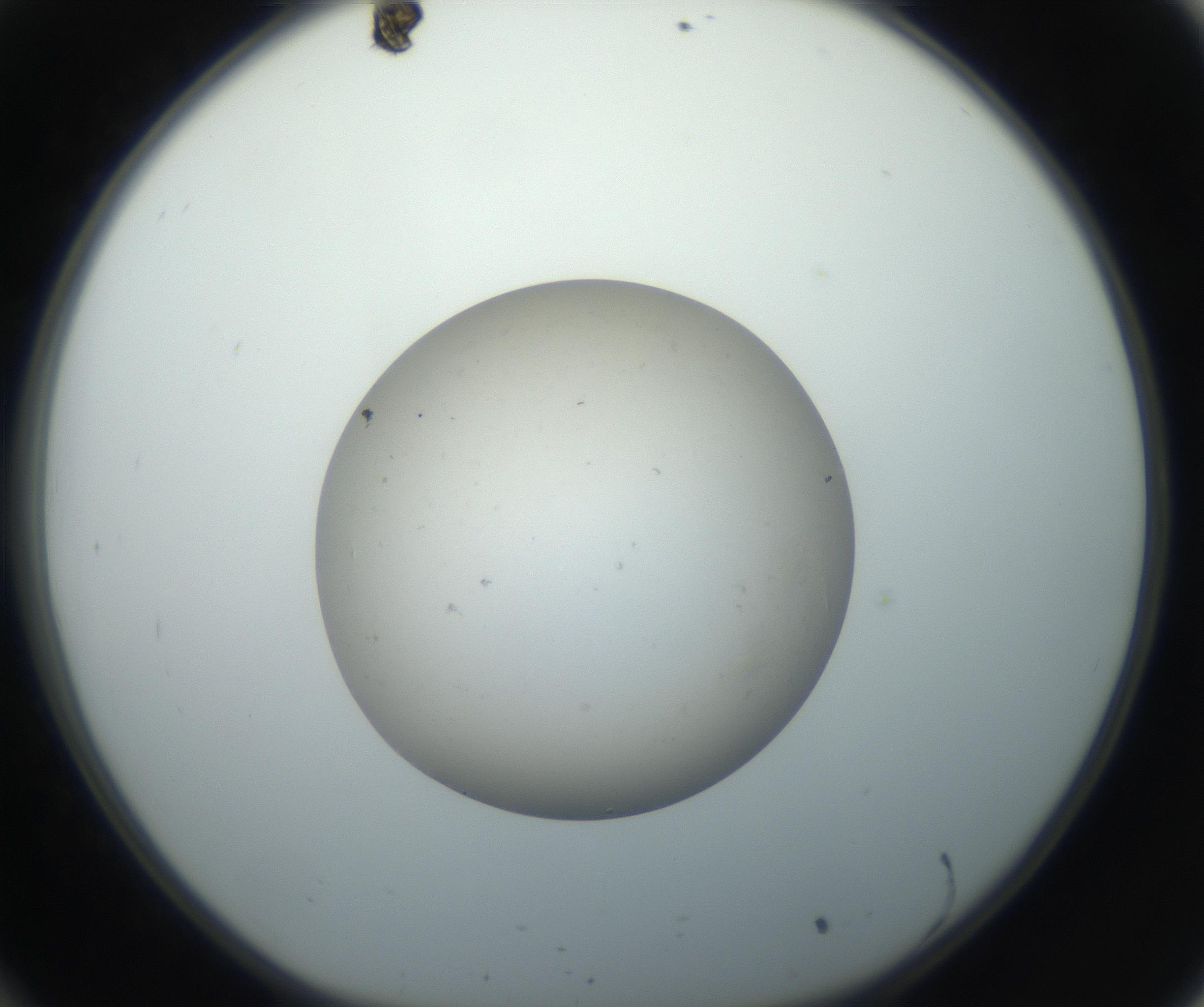 RI01_03_000_0212_Proj1_Clon1_MC_0000MC102735_003_160921_10_03_01_00_99_002_001_RAI.jpg