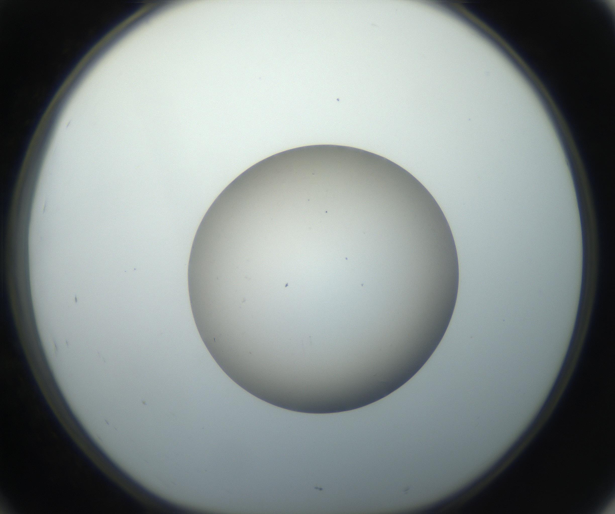 RI01_03_000_0212_Proj1_Clon1_MC_0000MC102735_003_160921_10_04_01_00_99_002_001_RAI.jpg