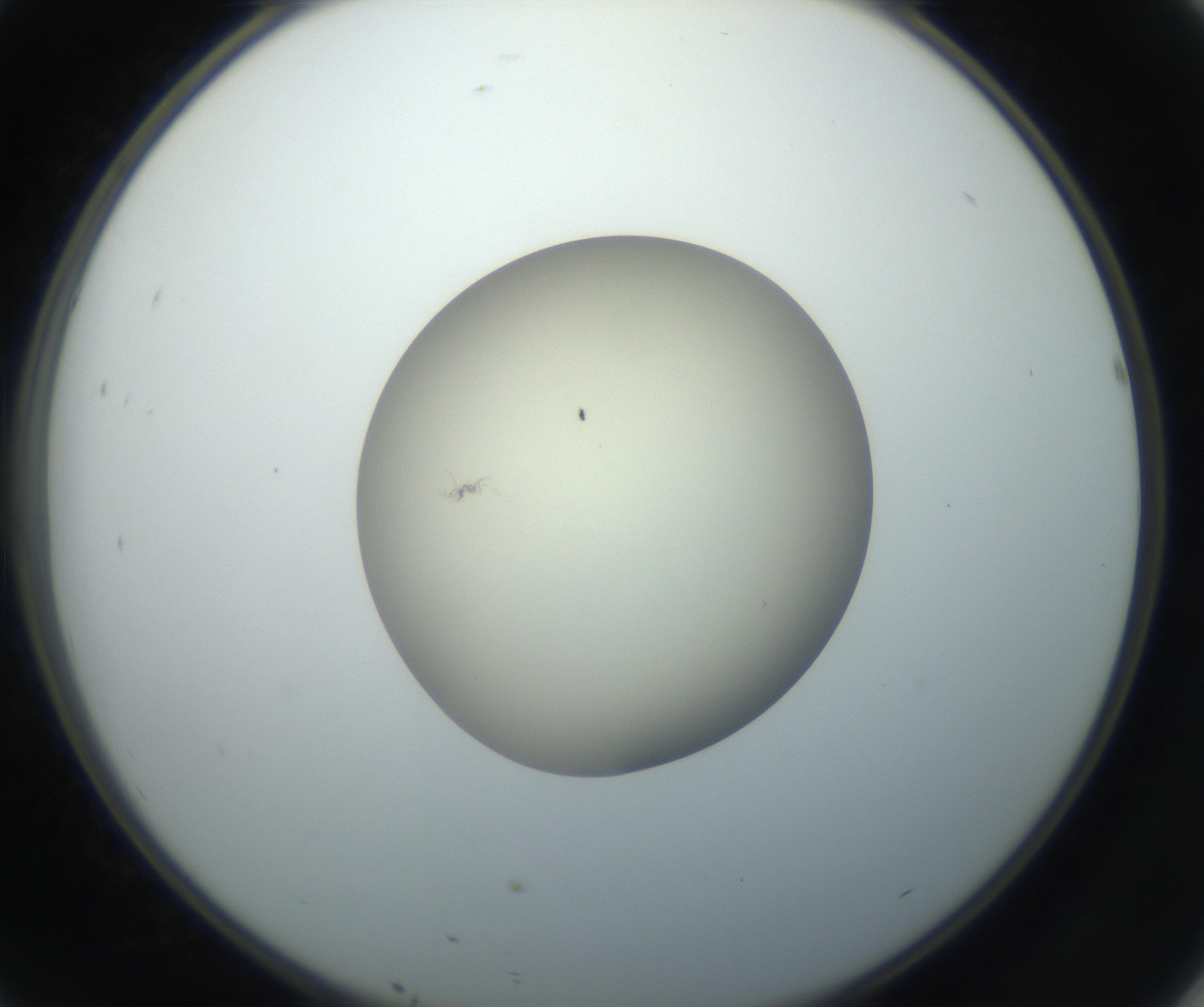 RI01_03_000_0212_Proj1_Clon1_MC_0000MC102735_003_160921_10_04_02_00_99_002_001_RAI.jpg