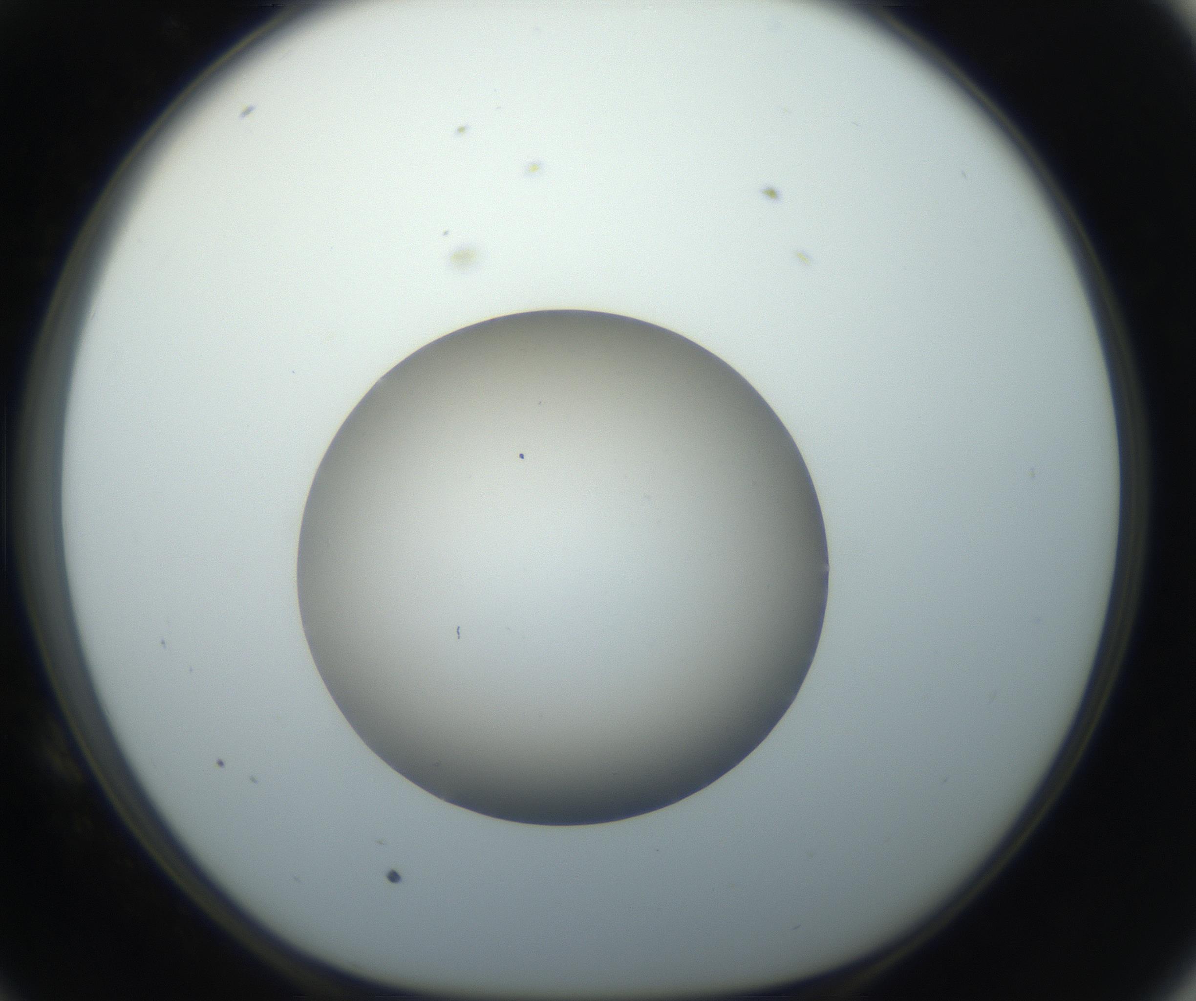 RI01_03_000_0212_Proj1_Clon1_MC_0000MC102735_003_160921_10_05_01_00_99_002_001_RAI.jpg