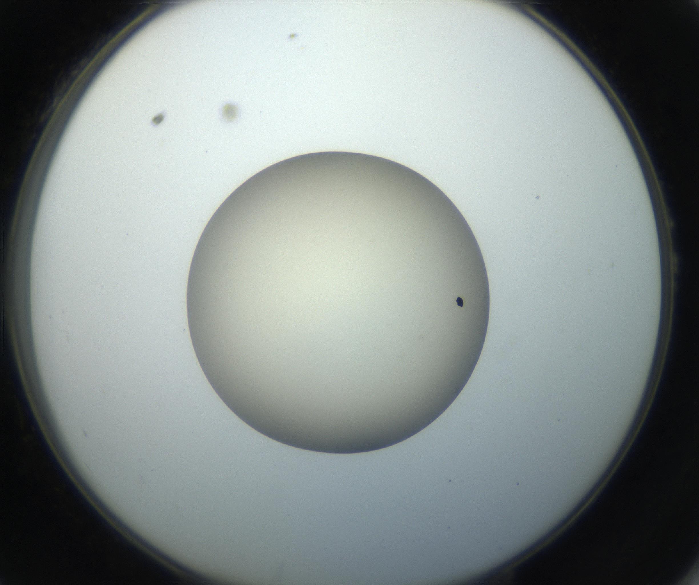 RI01_03_000_0212_Proj1_Clon1_MC_0000MC102735_003_160921_10_05_02_00_99_002_001_RAI.jpg