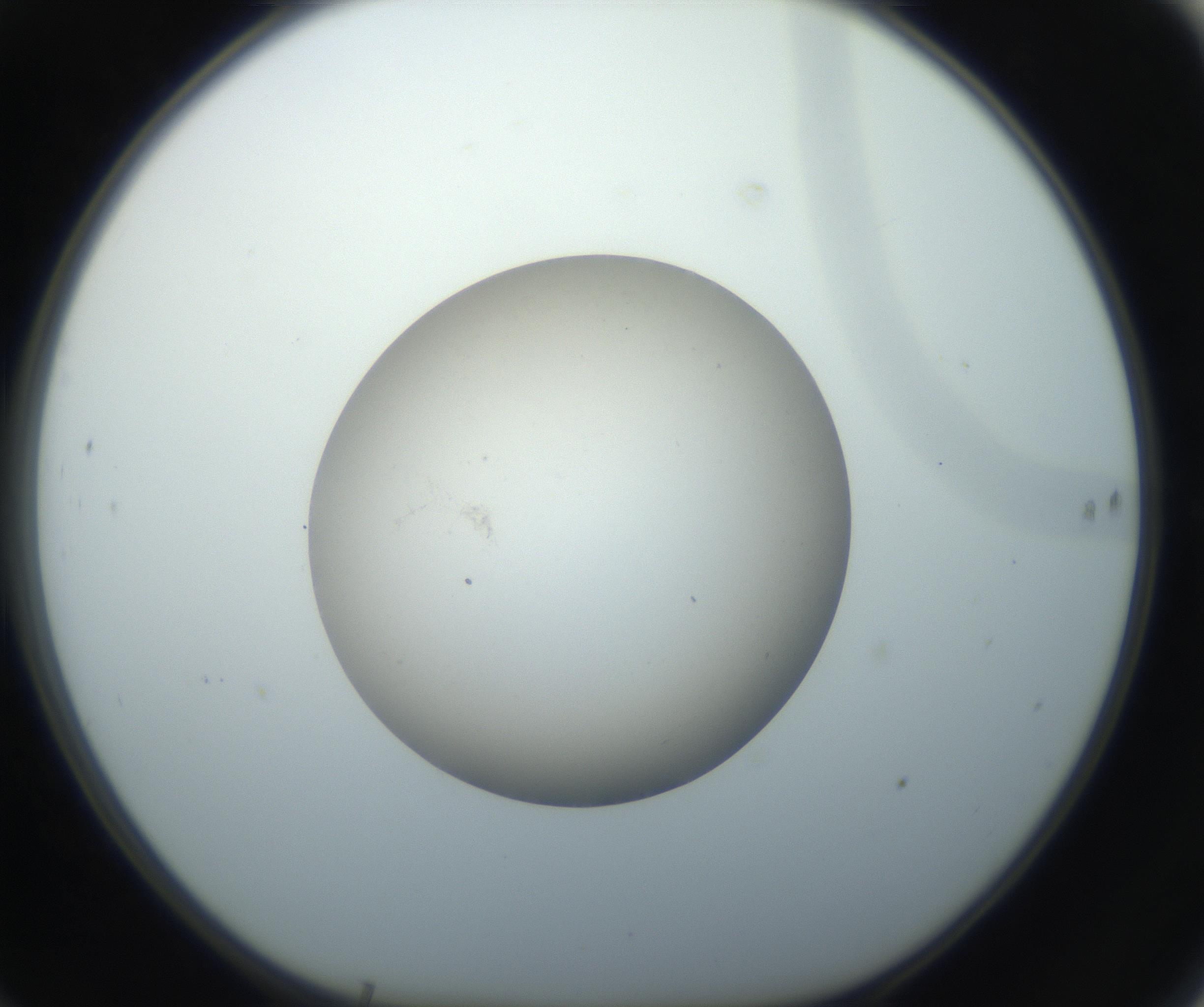 RI01_03_000_0212_Proj1_Clon1_MC_0000MC102735_003_160921_10_06_01_00_99_002_001_RAI.jpg