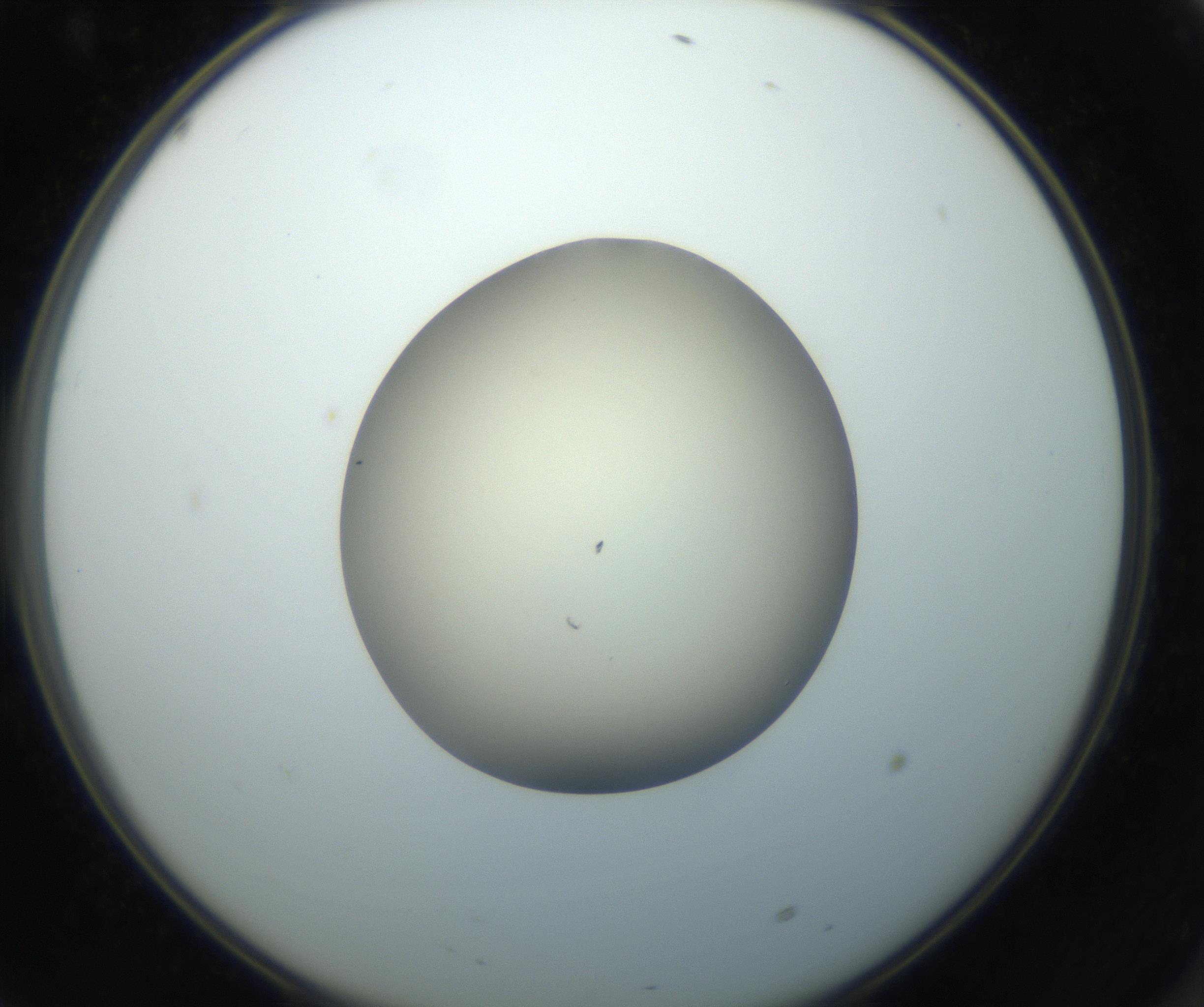 RI01_03_000_0212_Proj1_Clon1_MC_0000MC102735_003_160921_10_06_02_00_99_002_001_RAI.jpg
