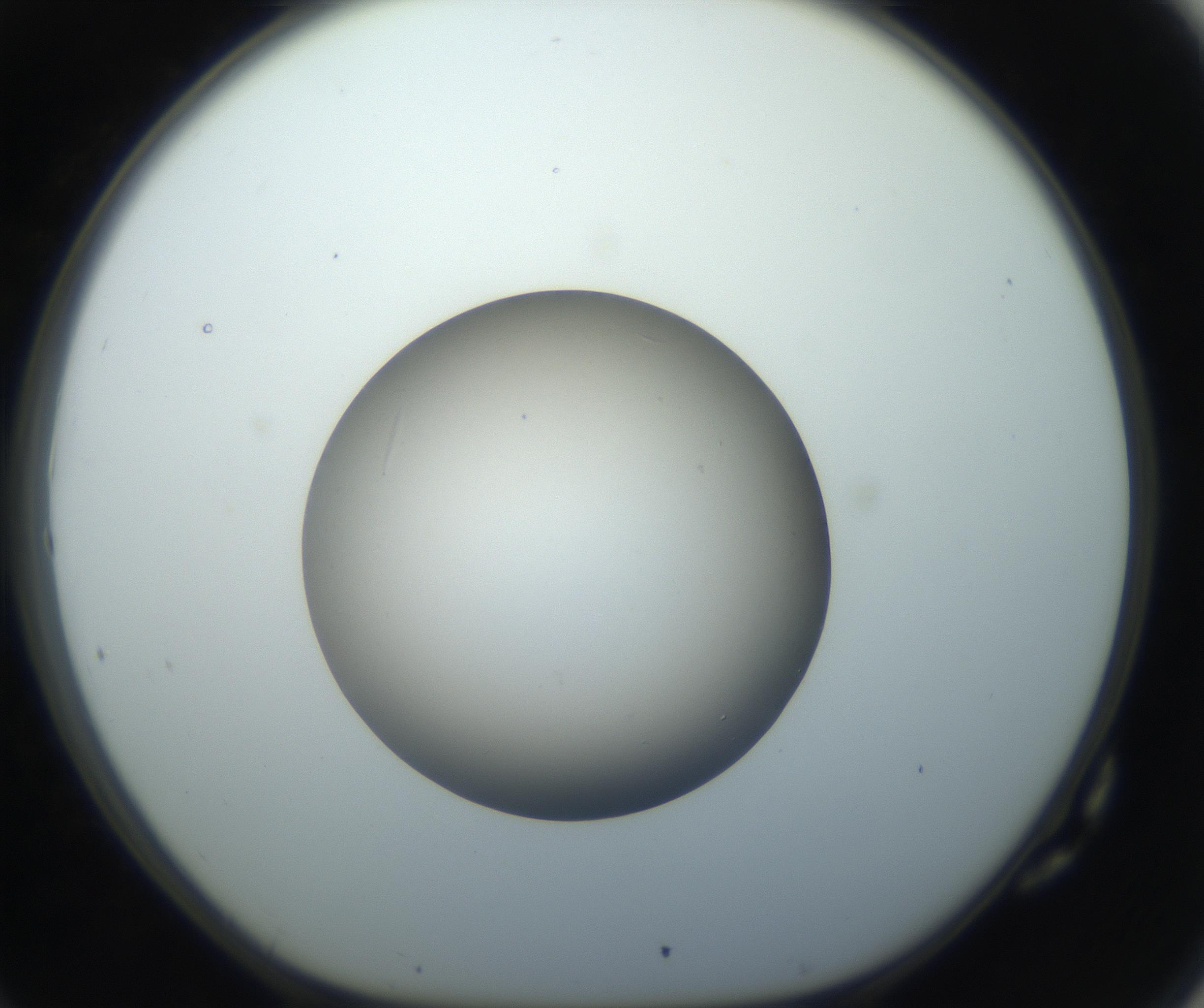 RI01_03_000_0212_Proj1_Clon1_MC_0000MC102735_003_160921_10_07_01_00_99_002_001_RAI.jpg