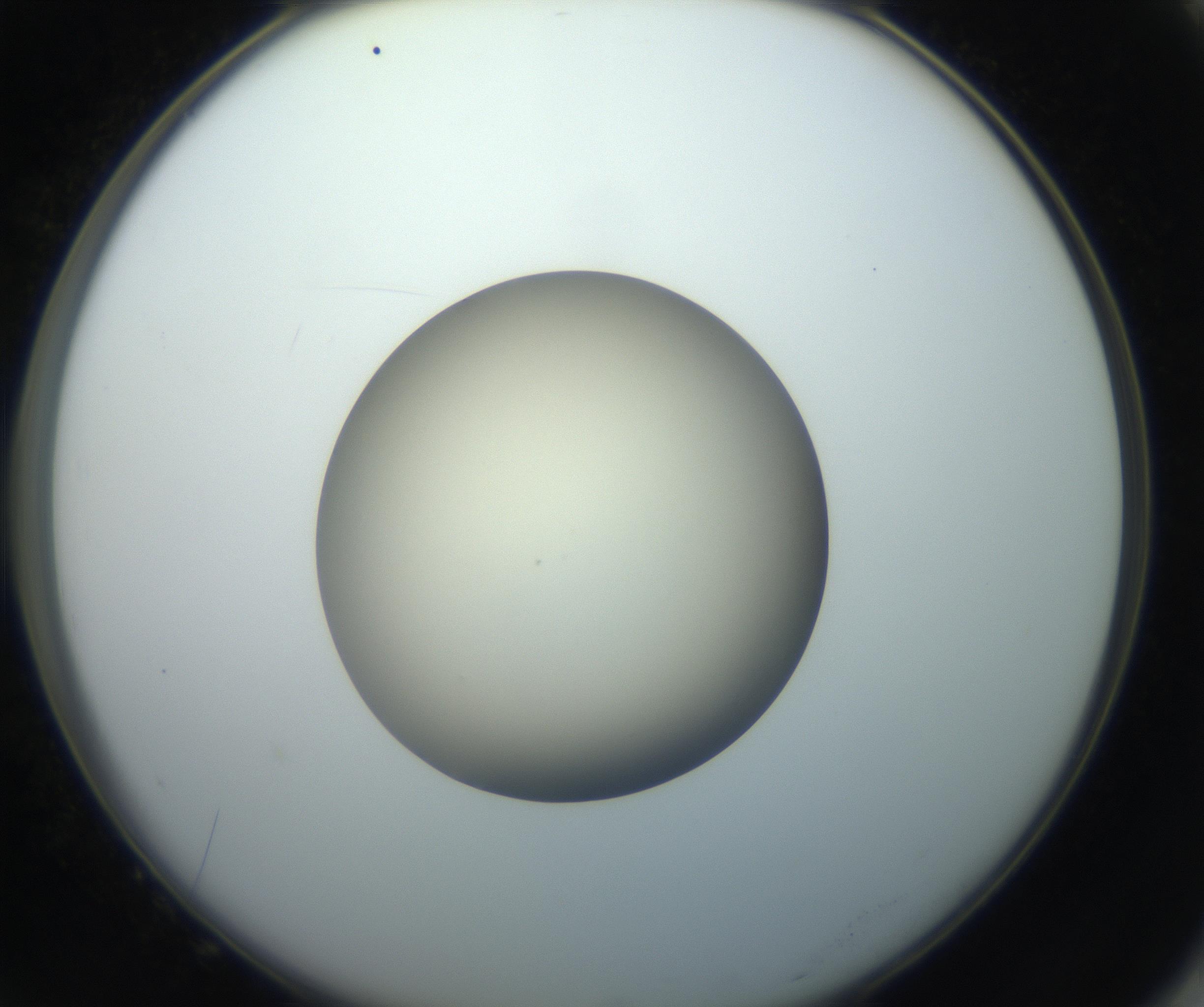 RI01_03_000_0212_Proj1_Clon1_MC_0000MC102735_003_160921_10_07_02_00_99_002_001_RAI.jpg