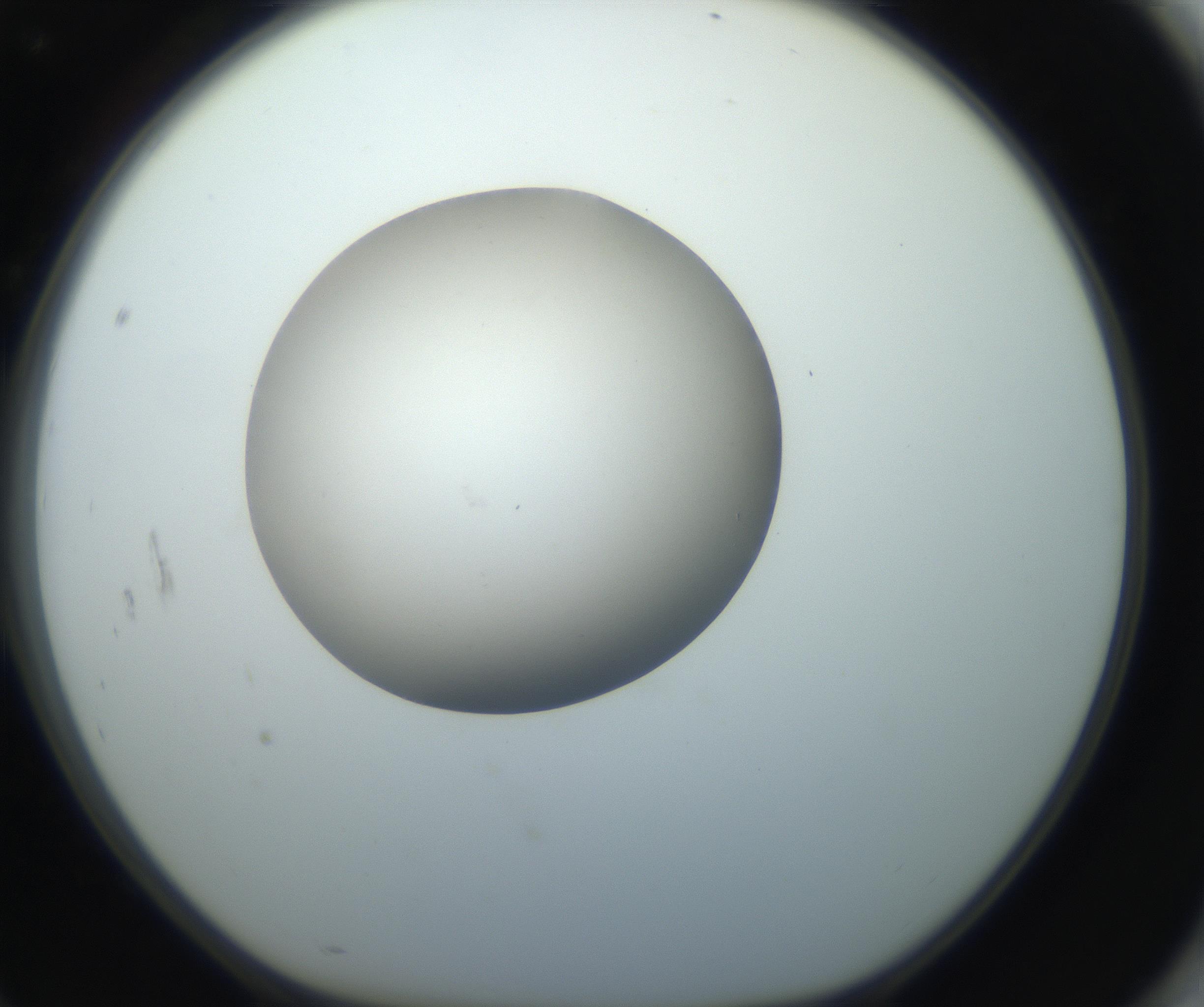 RI01_03_000_0212_Proj1_Clon1_MC_0000MC102735_003_160921_10_08_01_00_99_002_001_RAI.jpg