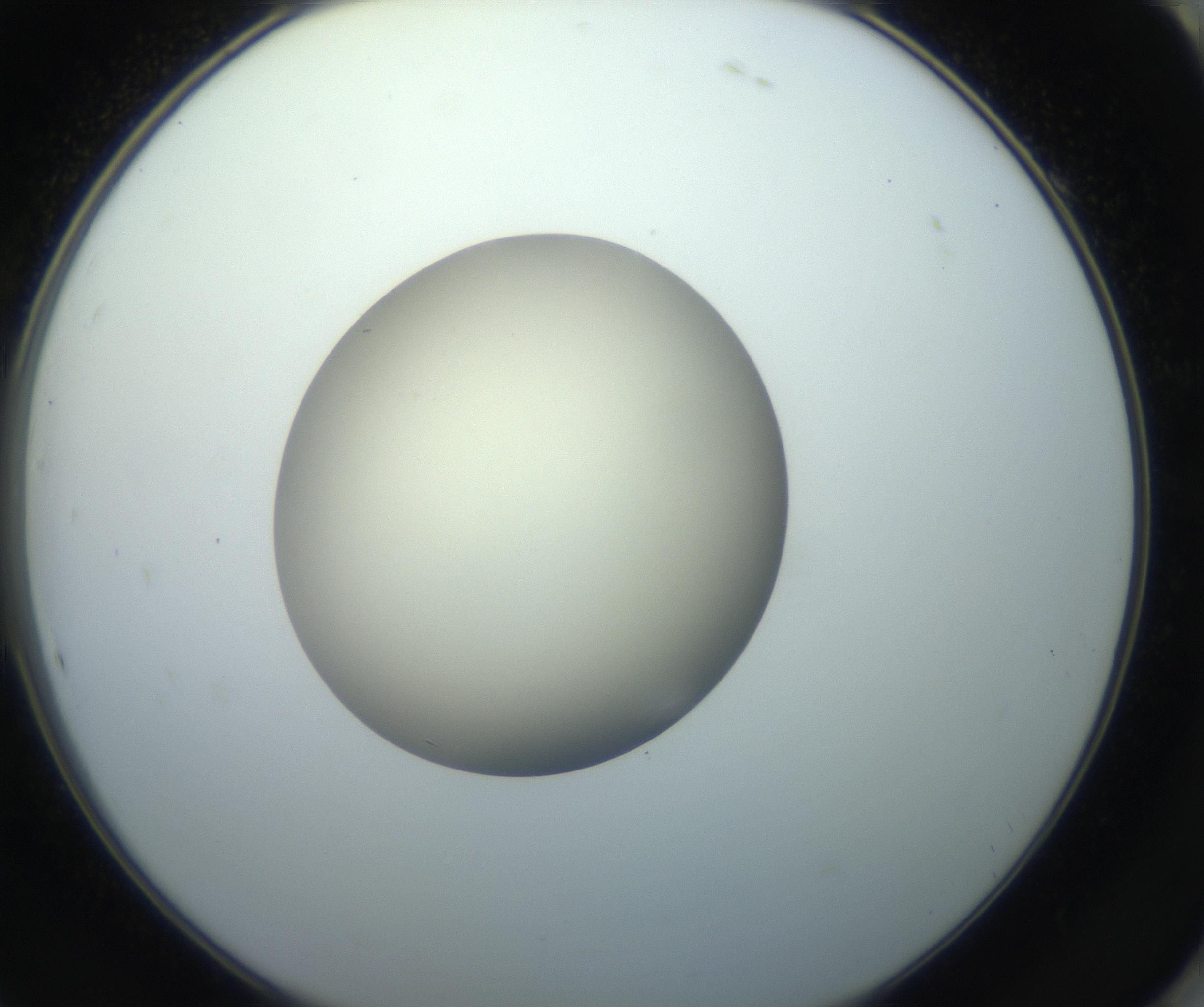 RI01_03_000_0212_Proj1_Clon1_MC_0000MC102735_003_160921_10_08_02_00_99_002_001_RAI.jpg