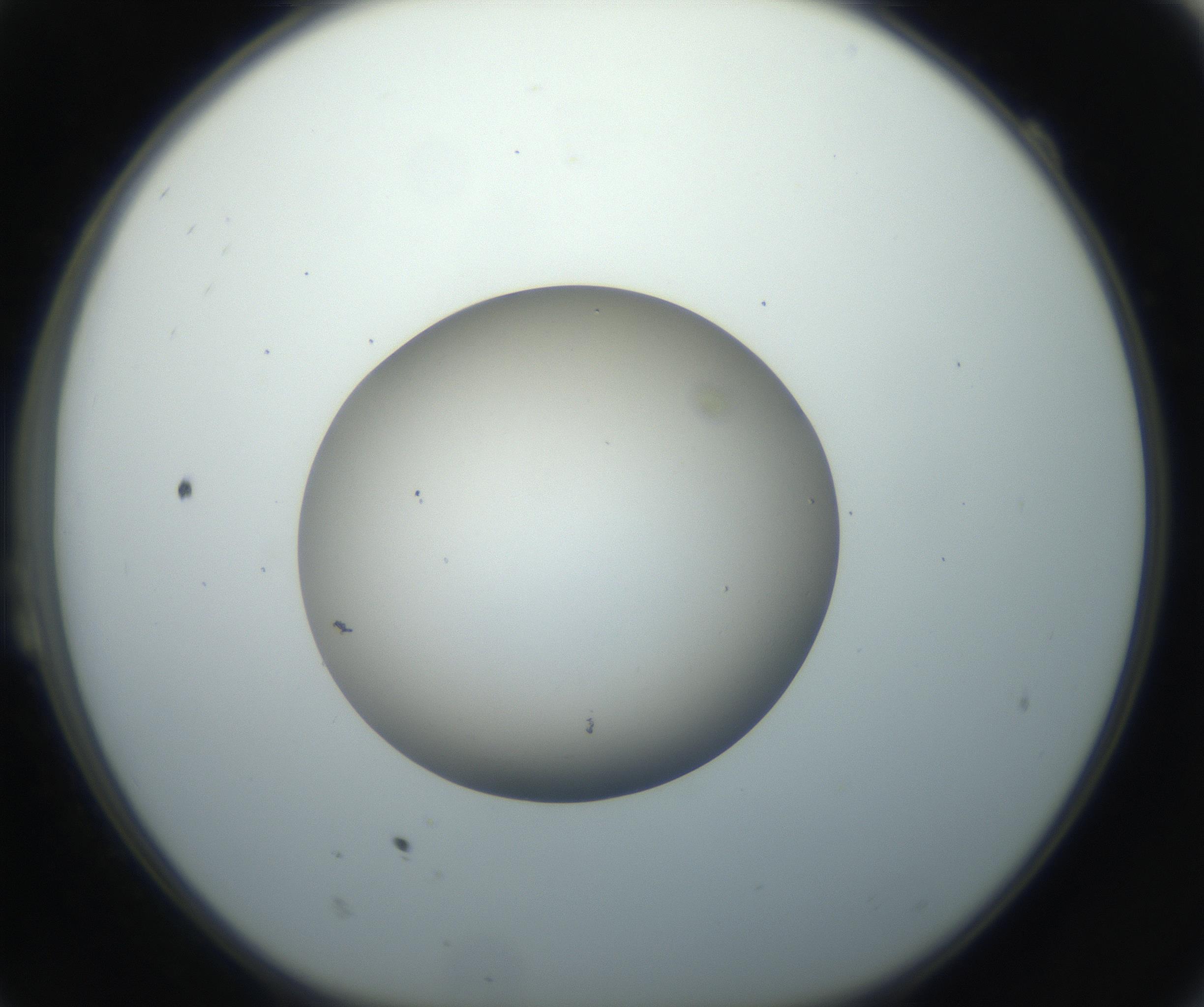 RI01_03_000_0212_Proj1_Clon1_MC_0000MC102735_003_160921_11_02_01_00_99_002_001_RAI.jpg