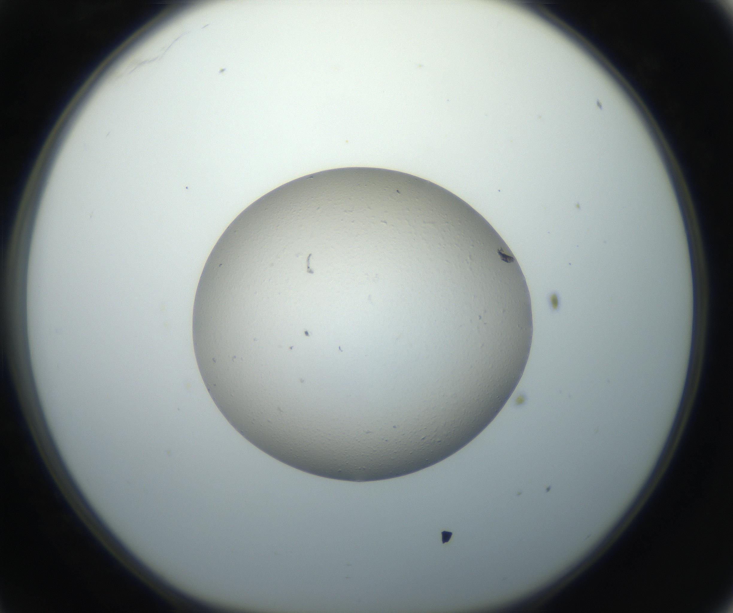 RI01_03_000_0212_Proj1_Clon1_MC_0000MC102735_003_160921_11_03_01_00_99_002_001_RAI.jpg