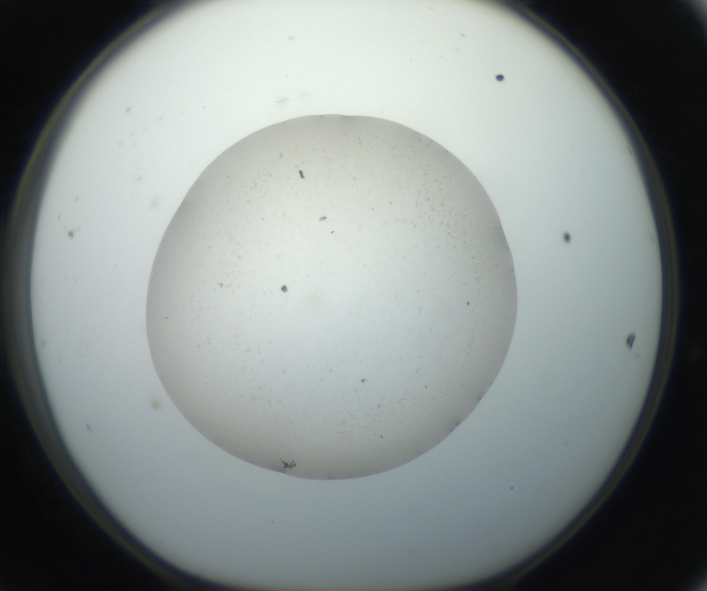 RI01_03_000_0212_Proj1_Clon1_MC_0000MC102735_003_160921_11_04_01_00_99_002_001_RAI.jpg